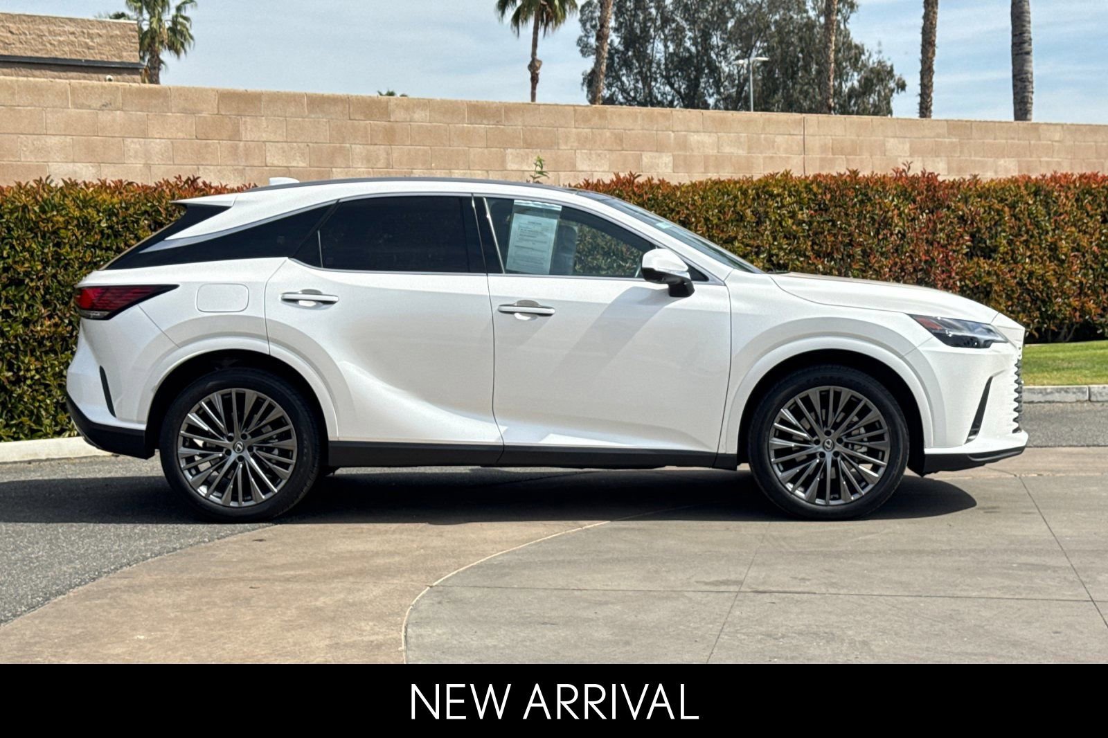 2024 LEXUS RX RX 450h+ Luxury photo 2