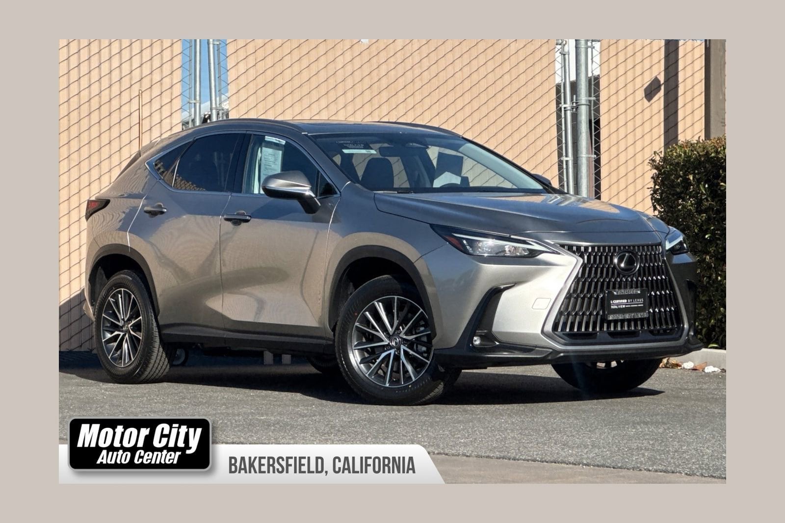 2024 Lexus NX 350h 350h AWD's photo