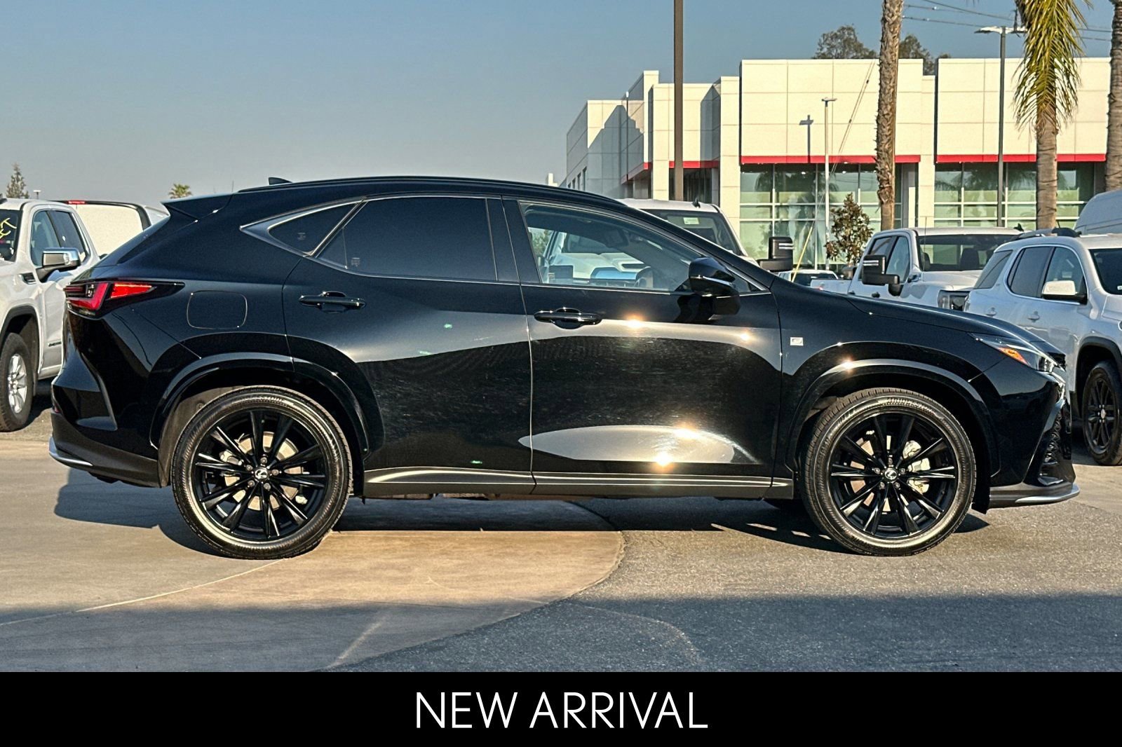 2024 LEXUS NX NX 450h+ F Sport Handling photo 2