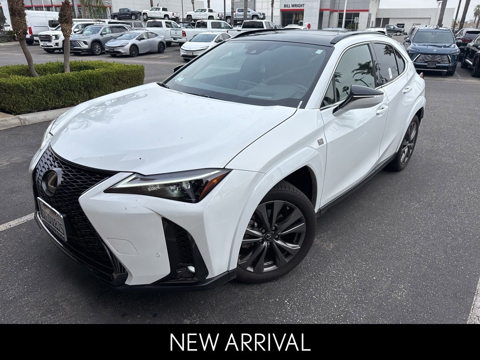 2023 Lexus UX 300h 250h F Sport Design's photo
