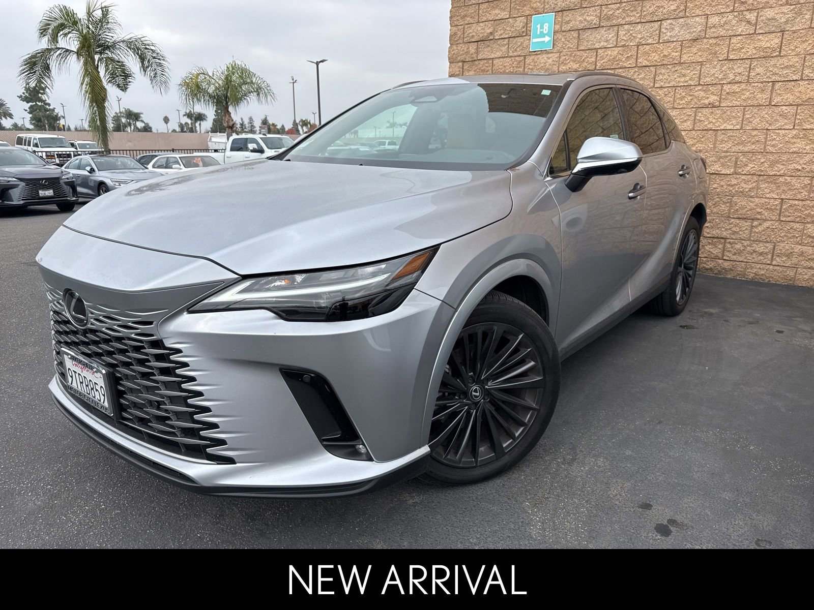 2025 Lexus RX Hybrid 350h's photo