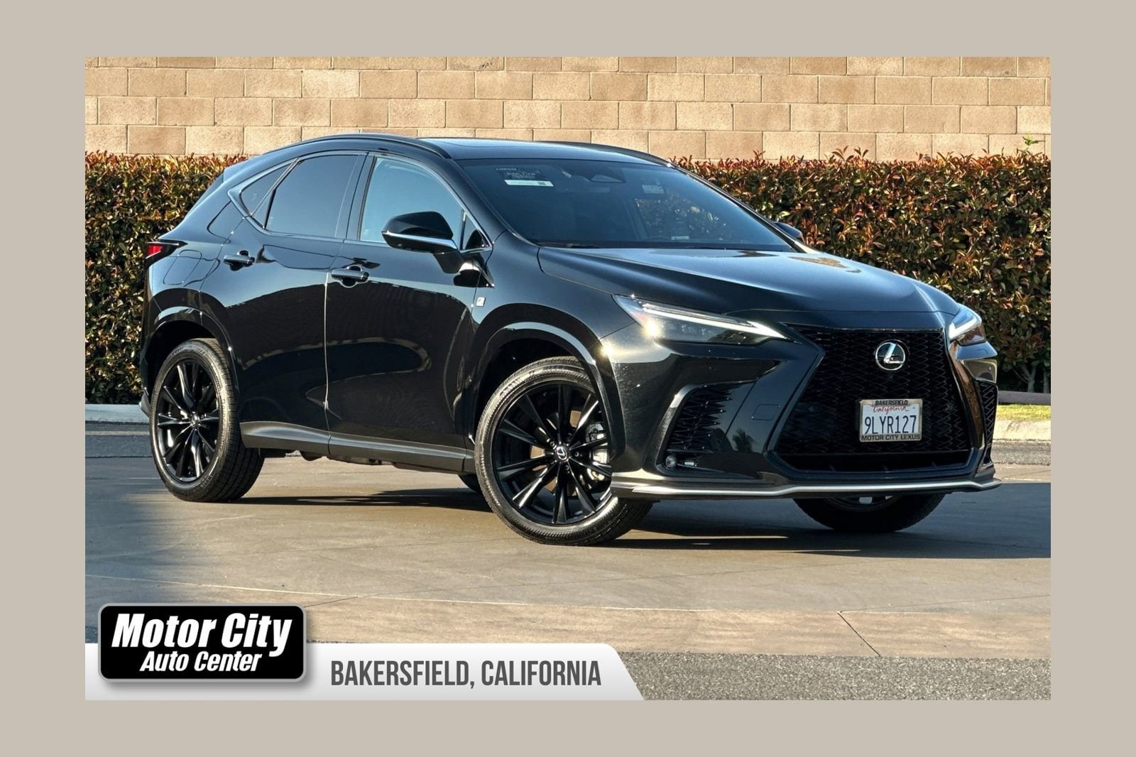 2024 Lexus NX 450h+ 450+ F-Sport AWD's photo