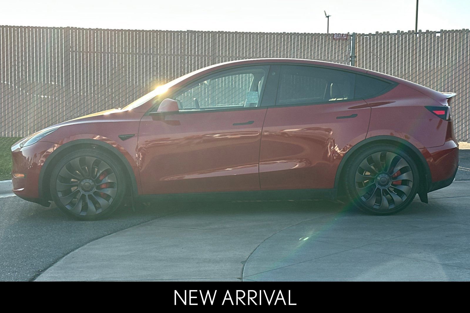 2022 Tesla Model Y Performance photo 6