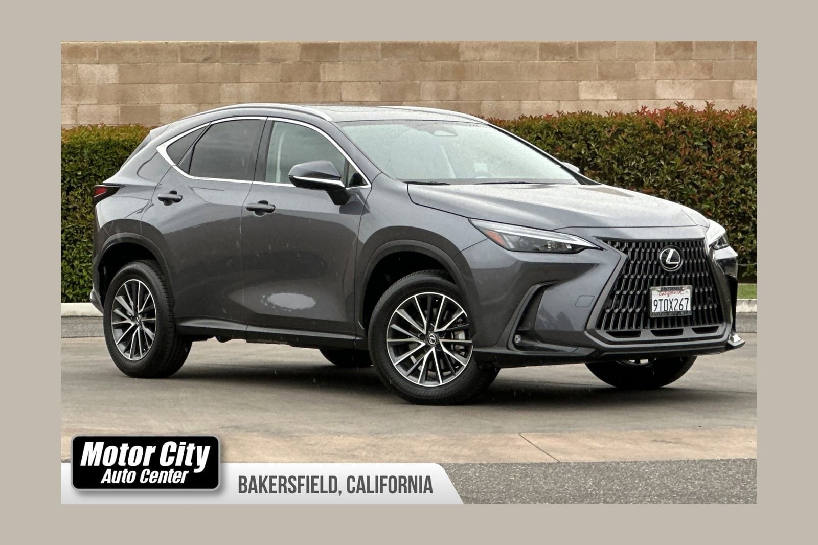2025 Lexus NX 350h 350h Premium AWD's photo