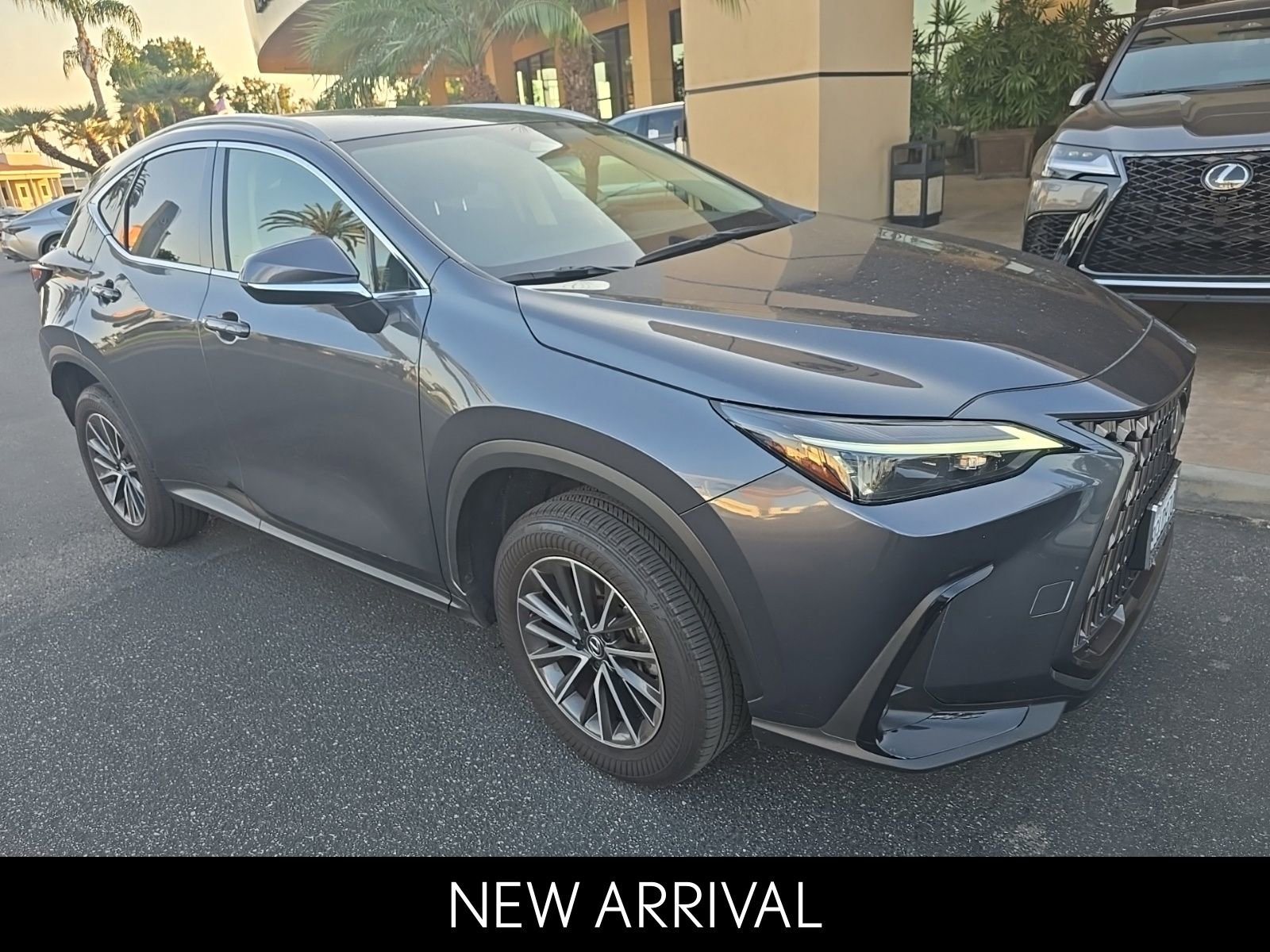 2024 Lexus NX 250 photo 2