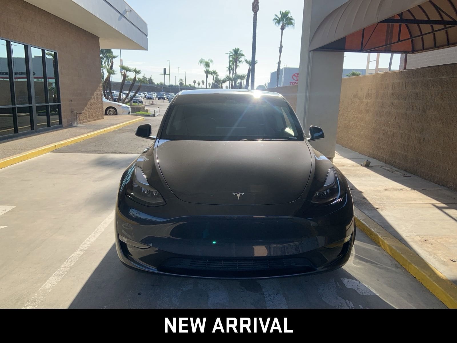 Used 2024 Tesla Model Y Long Range with VIN 7SAYGDED2RF051244 for sale in Northfield, Minnesota