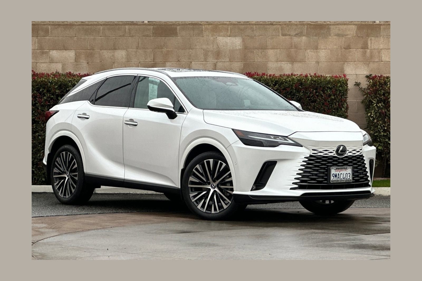 2024 Lexus RX 350's photo