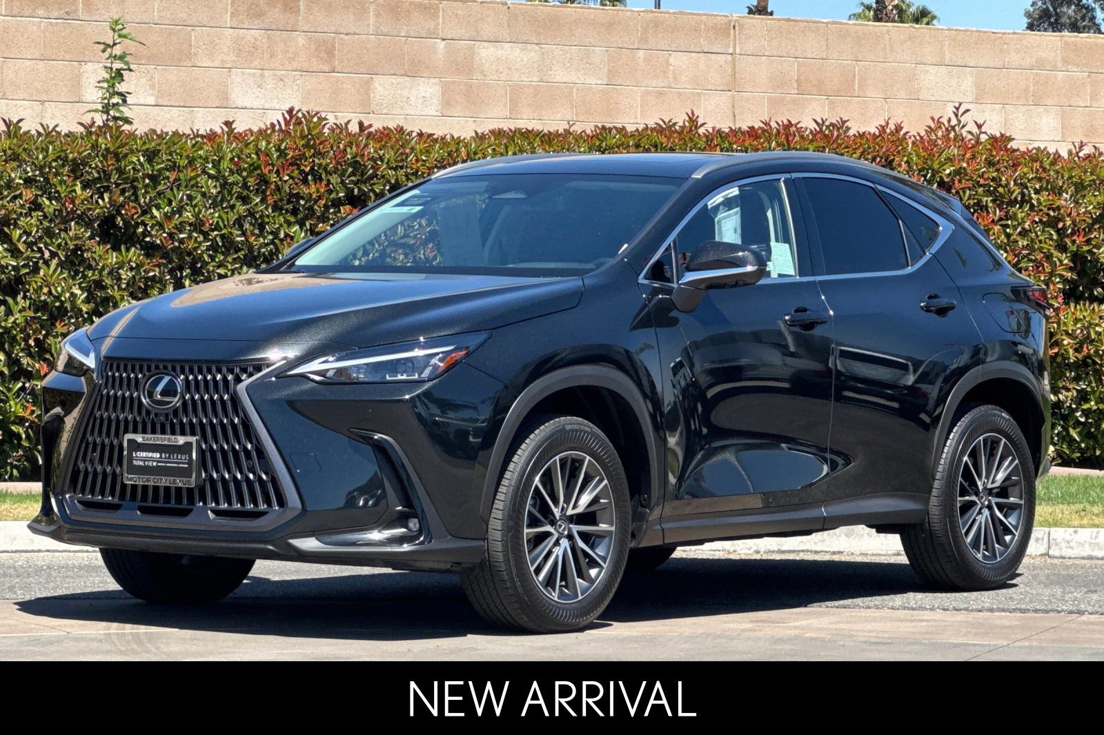 2025 LEXUS NX NX 350h Premium photo 3
