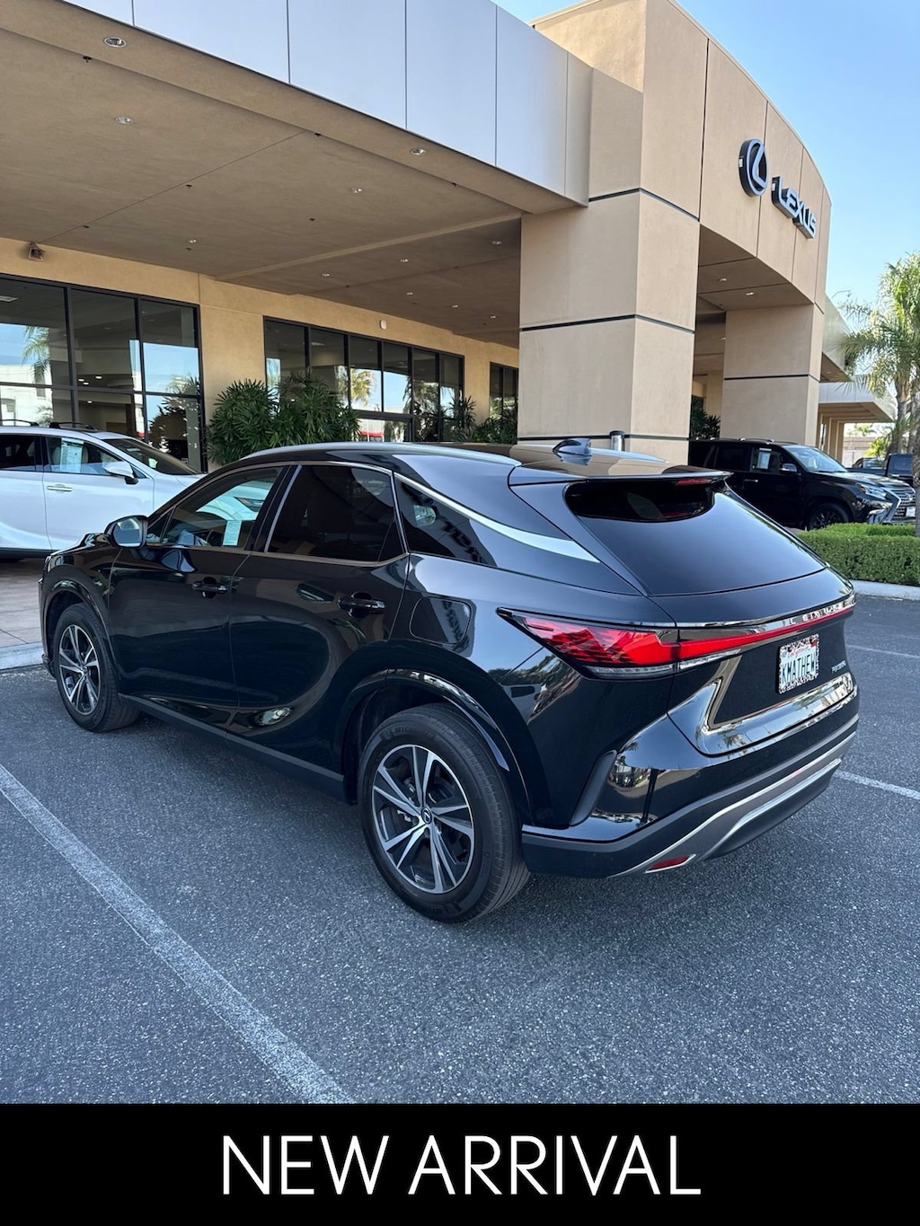 Used 2025 Lexus RX 350 RX 350 SUV
