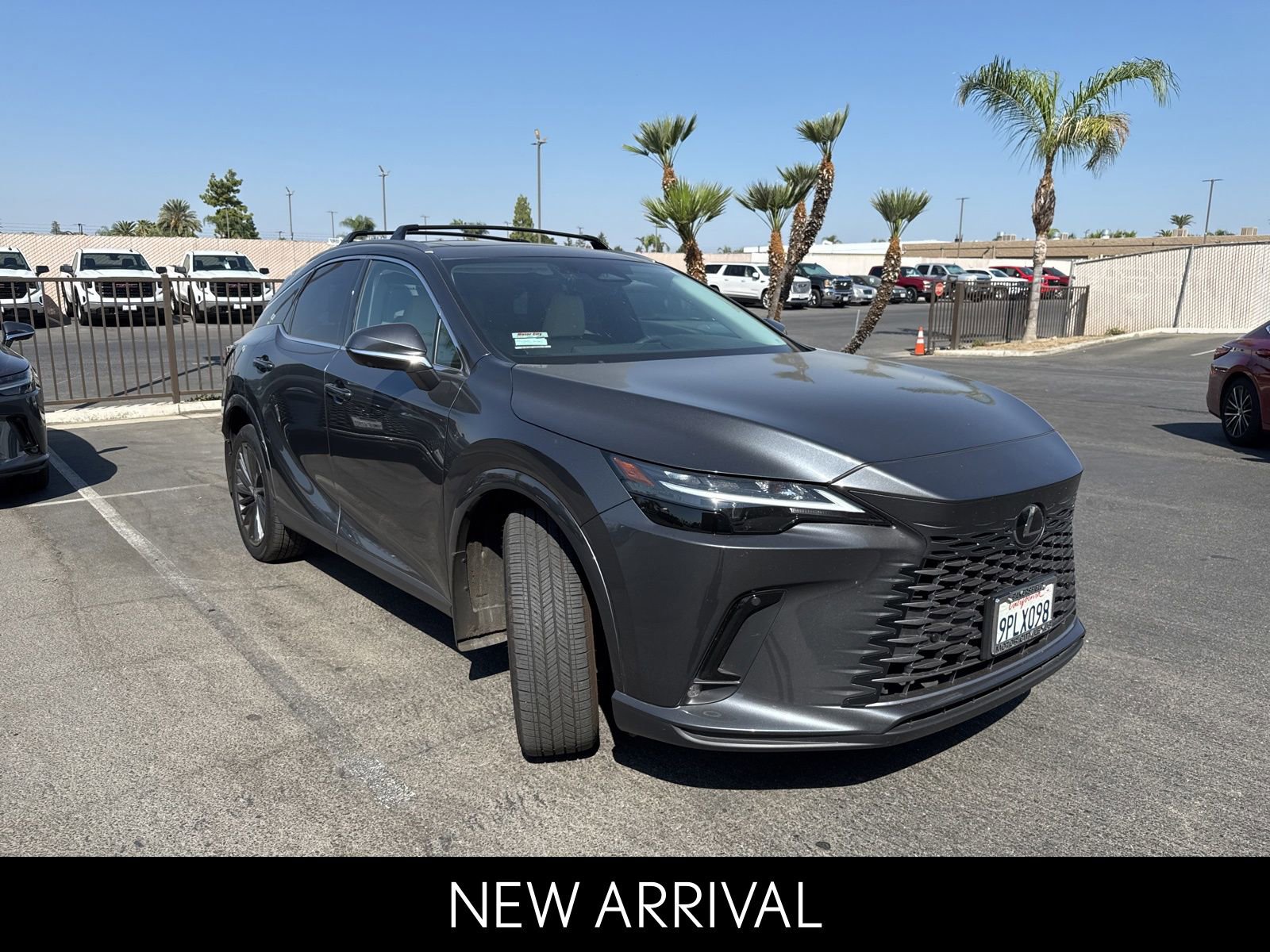 2024 Lexus RX 350h Premium photo 2