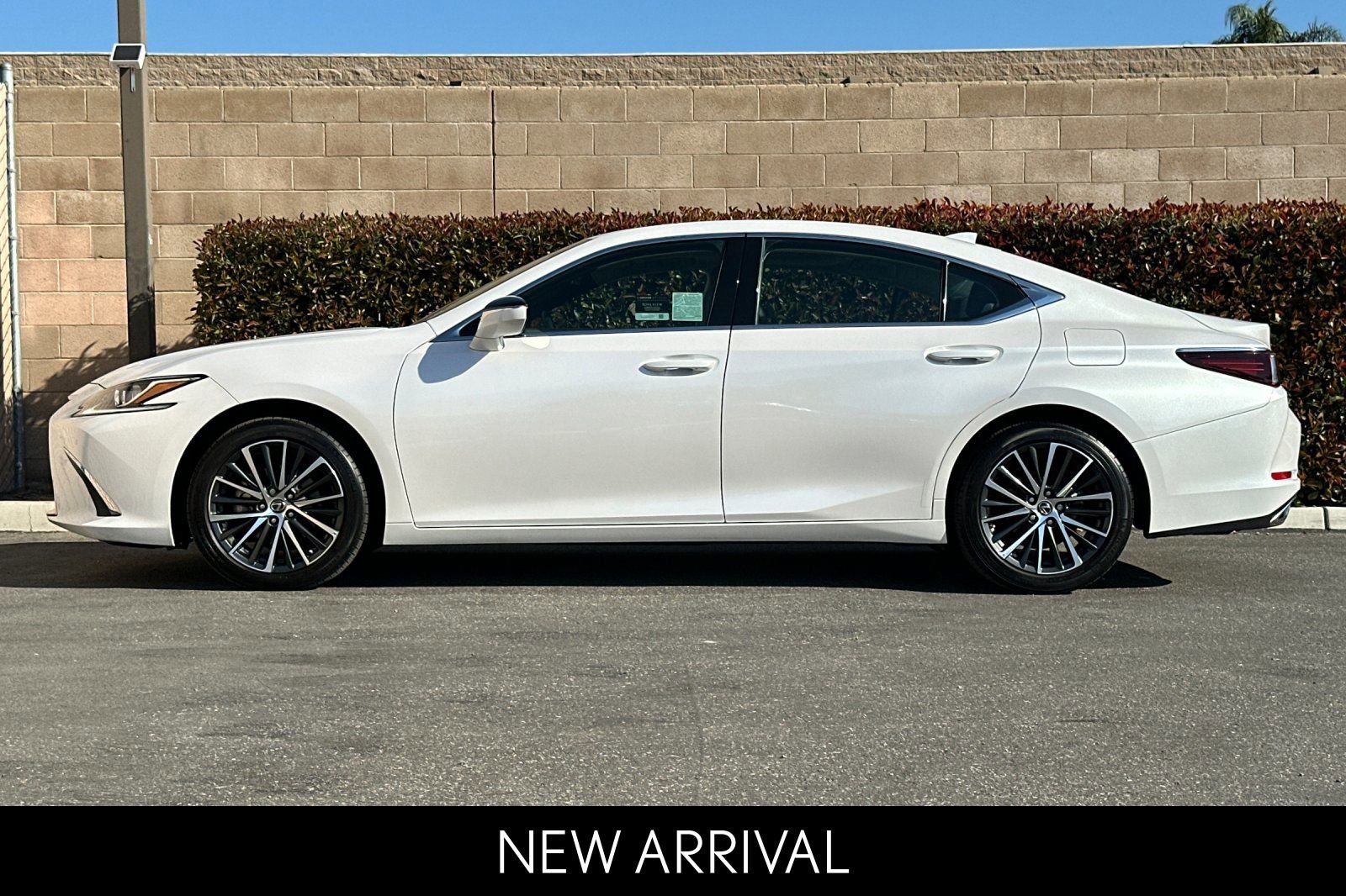 2024 LEXUS ES ES 350 photo 6