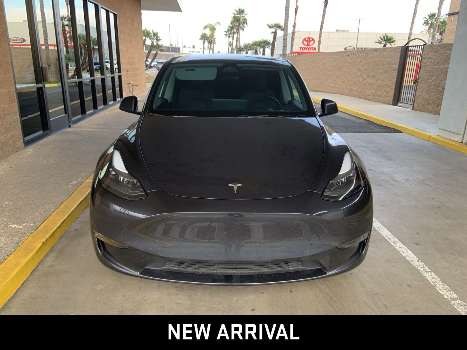 Used 2024 Tesla Model Y Long Range with VIN 7SAYGDEE2RF004109 for sale in Northfield, Minnesota