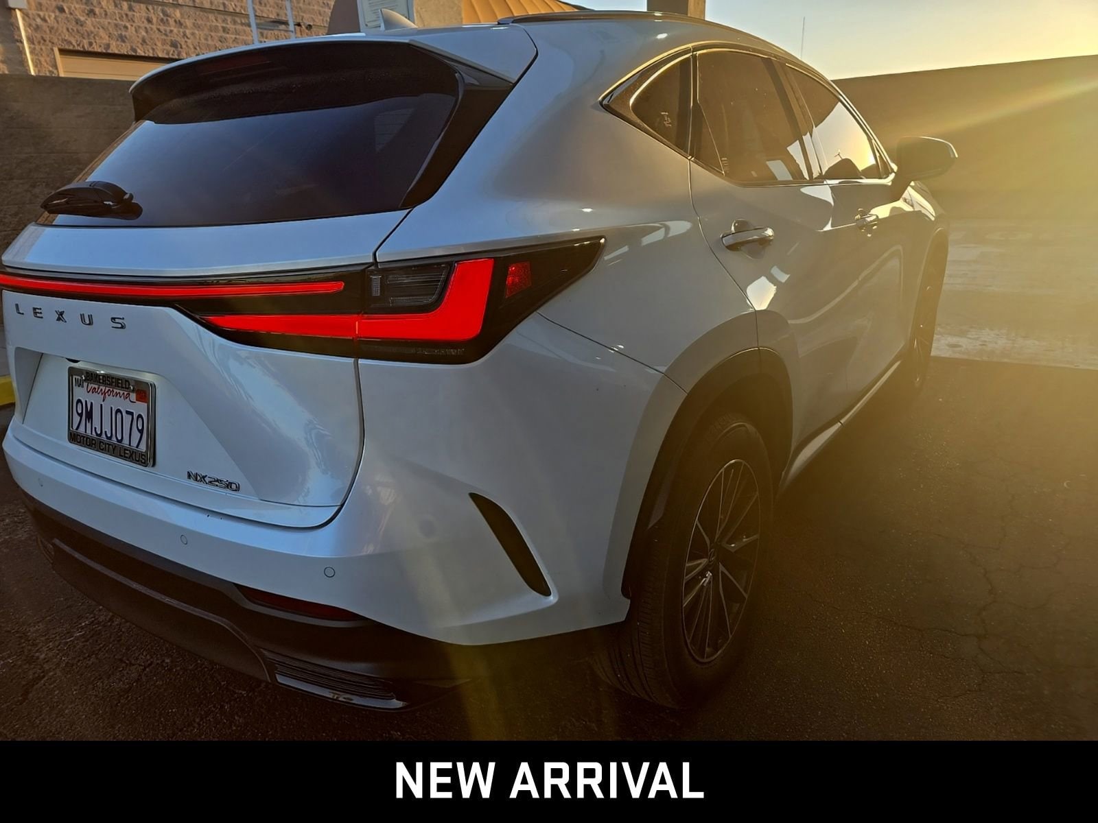 2025 LEXUS NX NX 250 photo 4