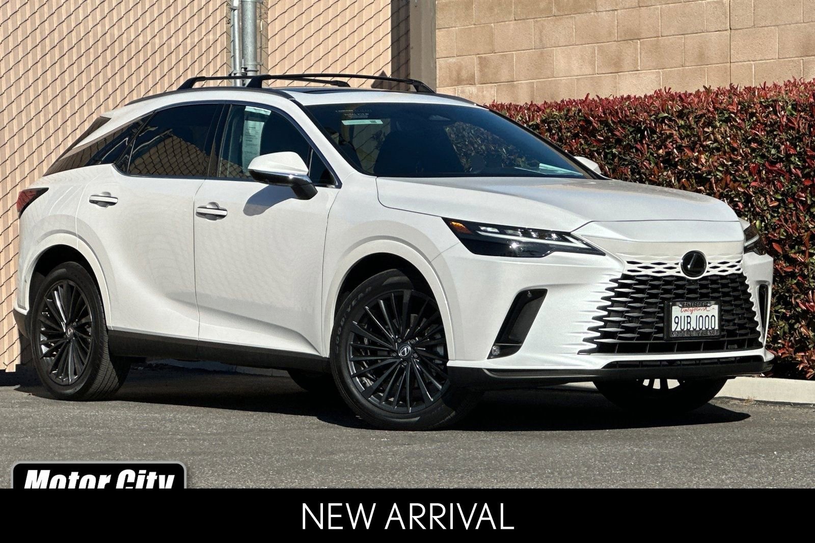 2025 Lexus RX Hybrid 350h