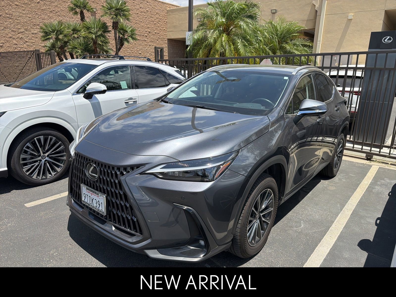 2025 Lexus NX 350h 350h Premium AWD's photo