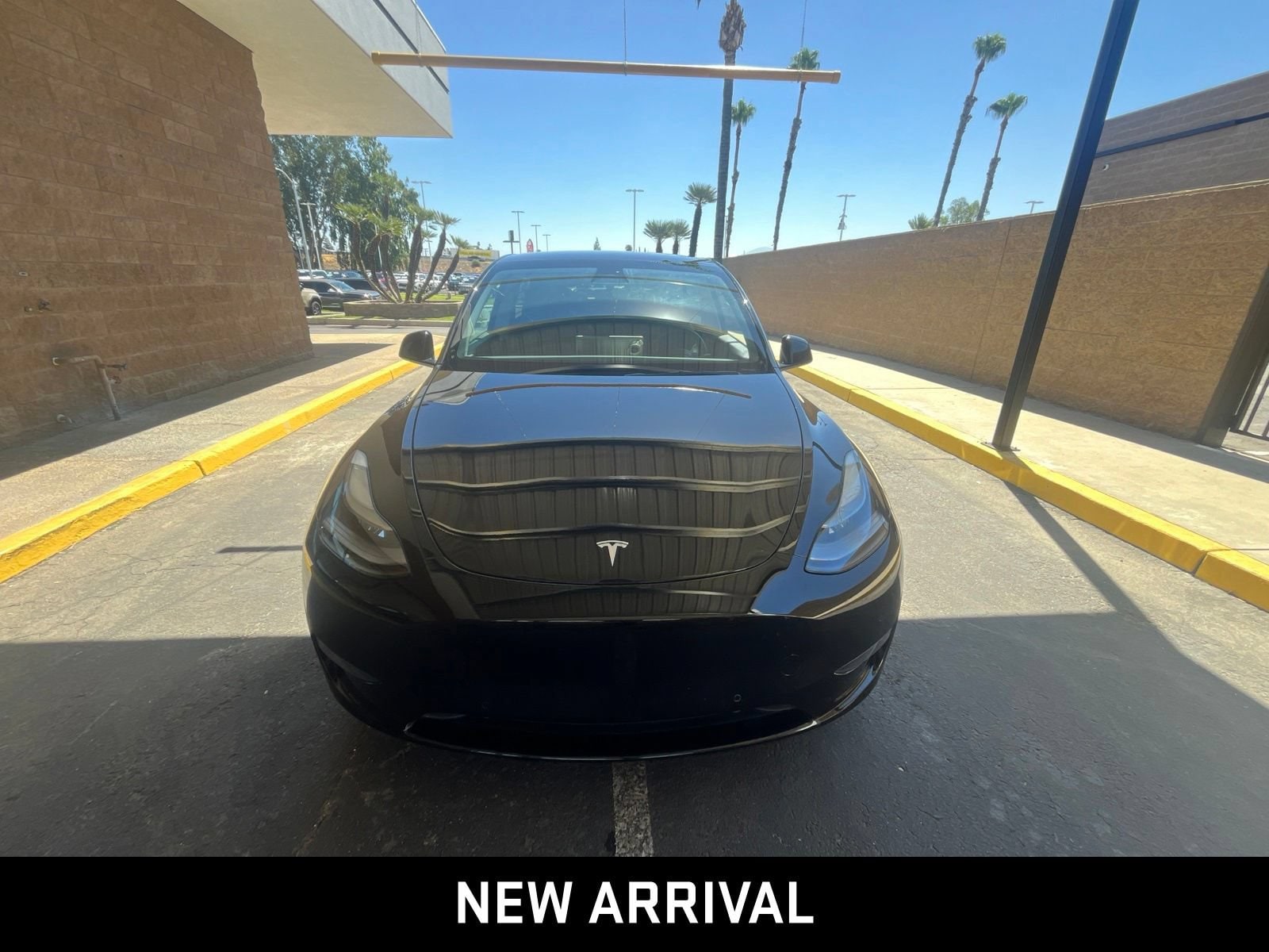 Used 2022 Tesla Model Y Performance with VIN 7SAYGDEF5NF491177 for sale in Bakersfield, CA