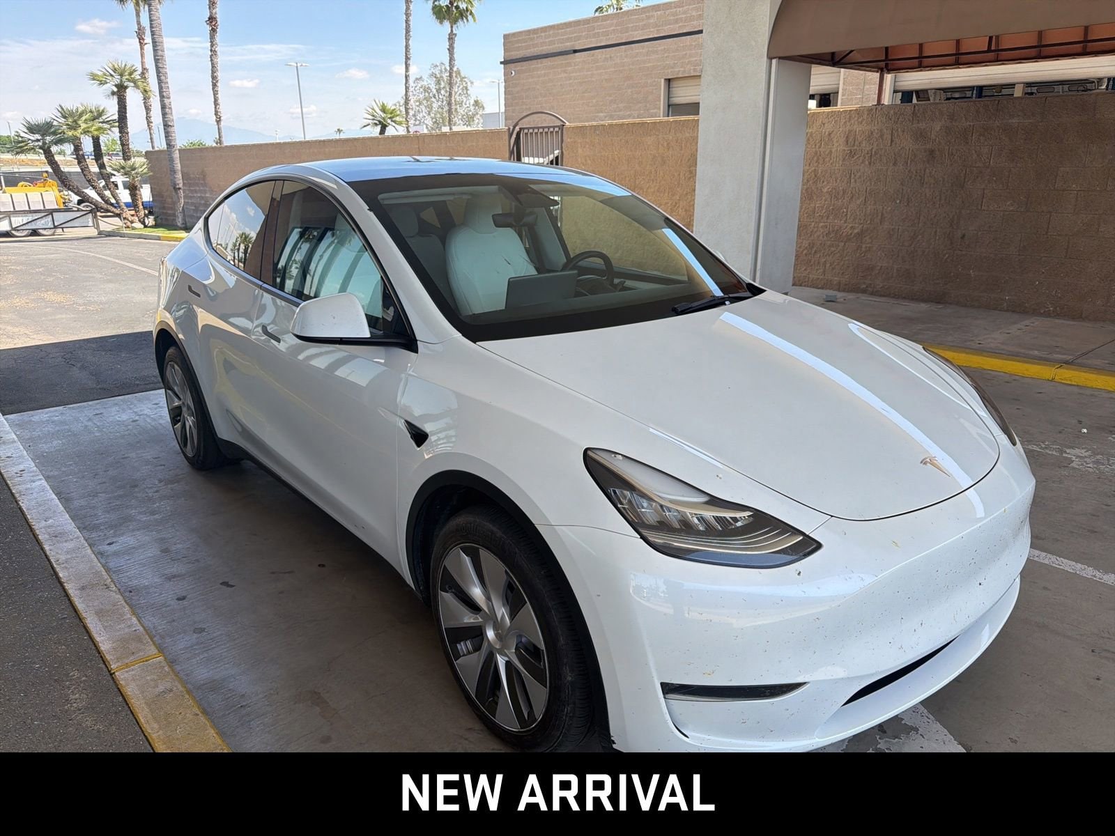 2023 Tesla Model Y Long Range photo 3