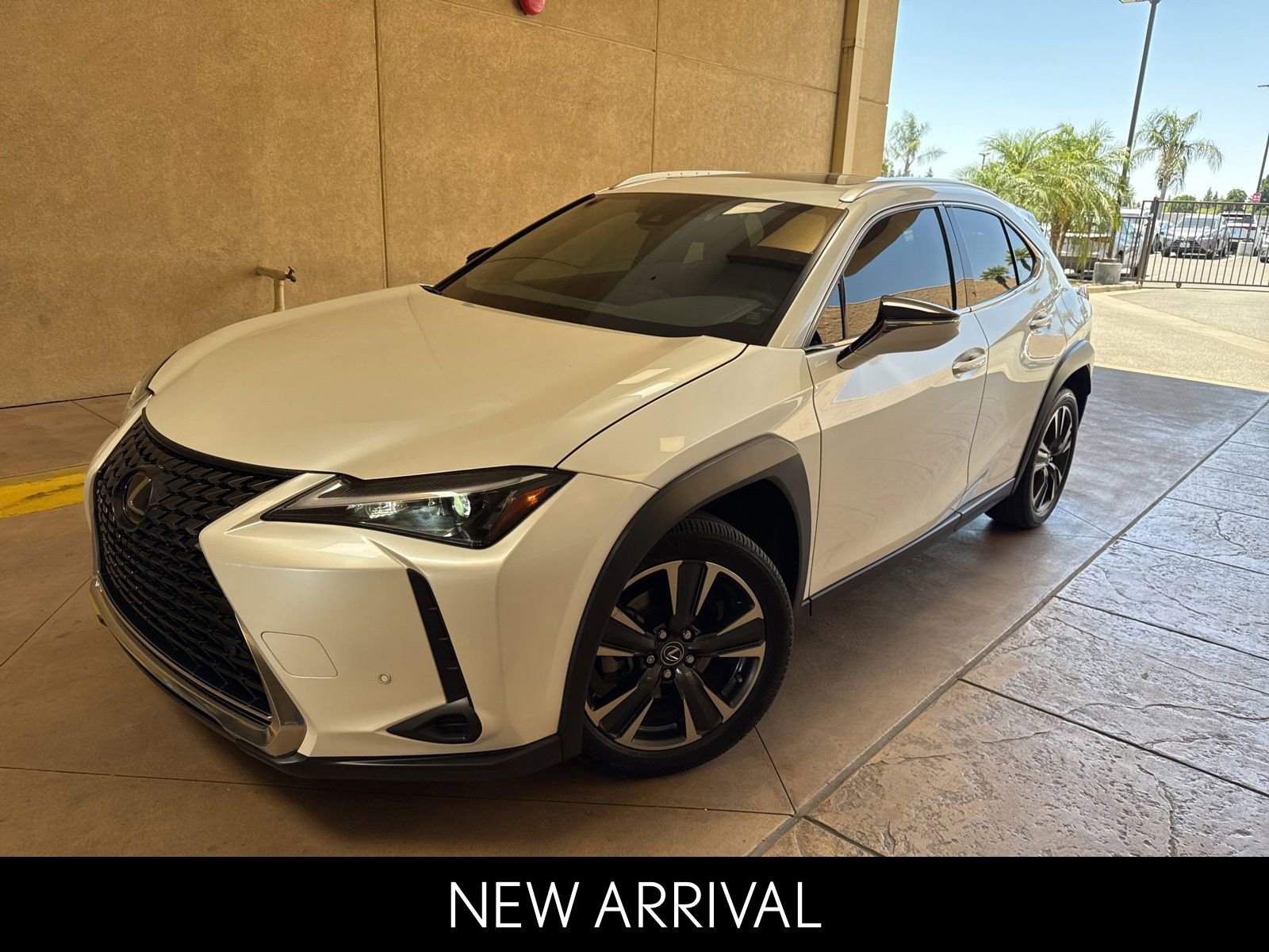2024 Lexus UX 300h 250h's photo