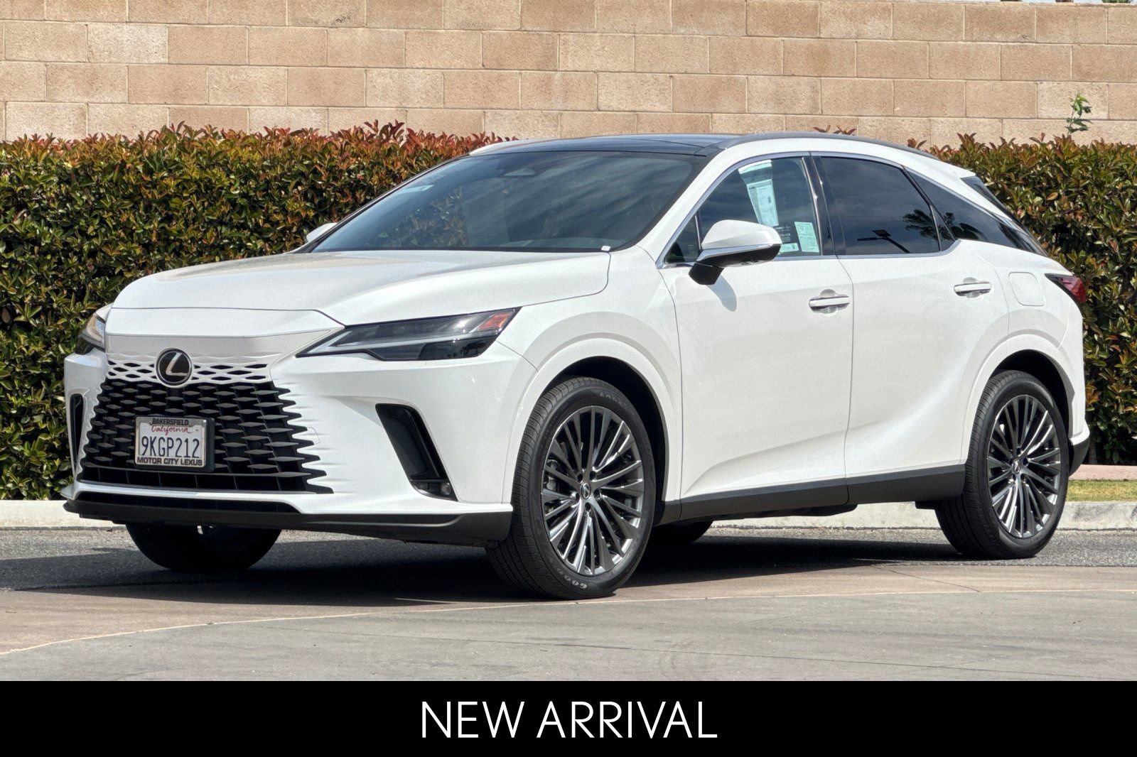 2024 LEXUS RX RX 450h+ Luxury photo 3