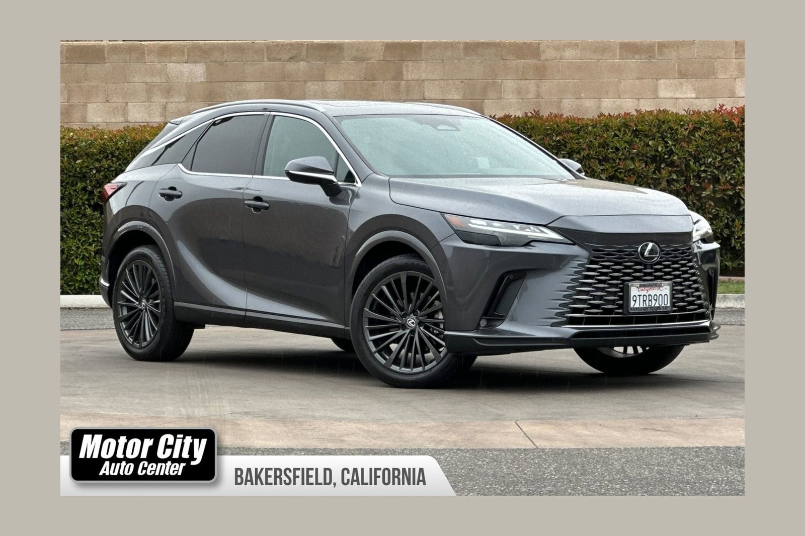 2025 Lexus RX 350h 350h Premium AWD's photo