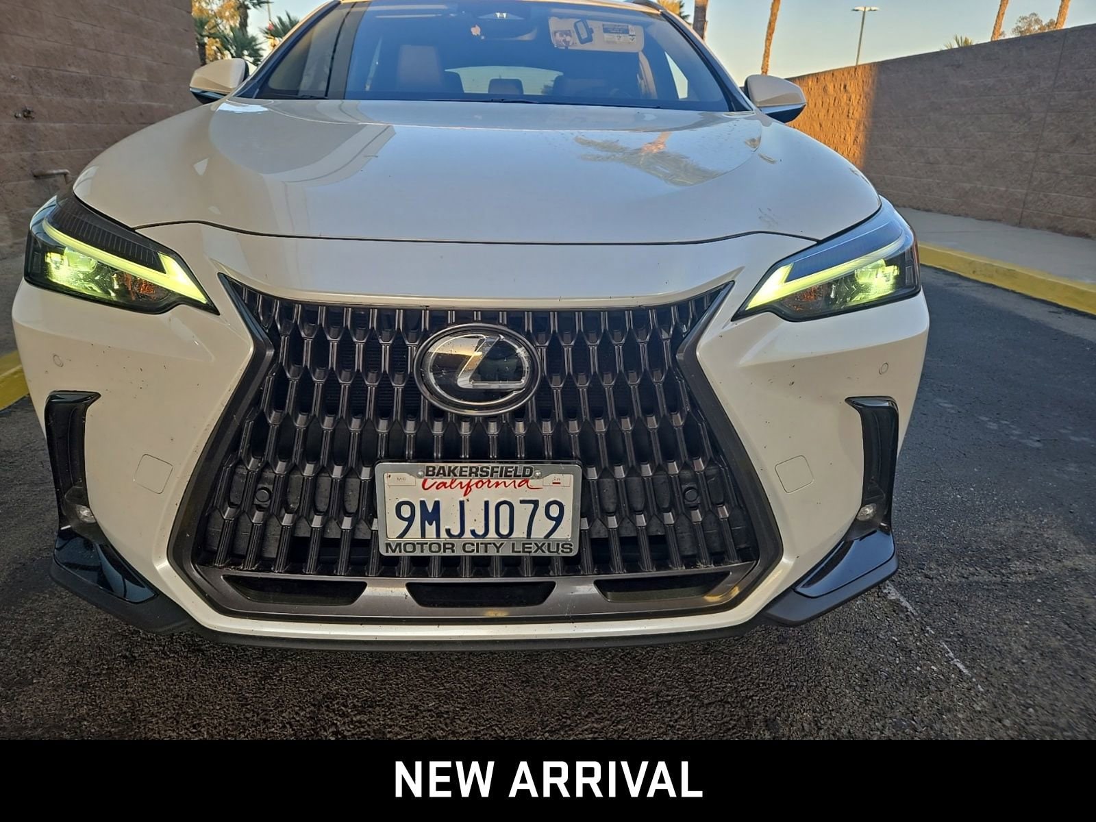 2025 LEXUS NX NX 250 photo 2