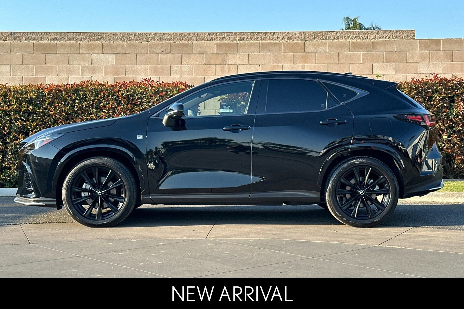 2024 LEXUS NX NX 450h+ F Sport Handling photo 6