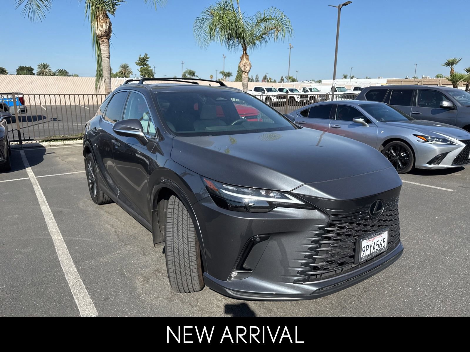 2024 Lexus RX 350h photo 2