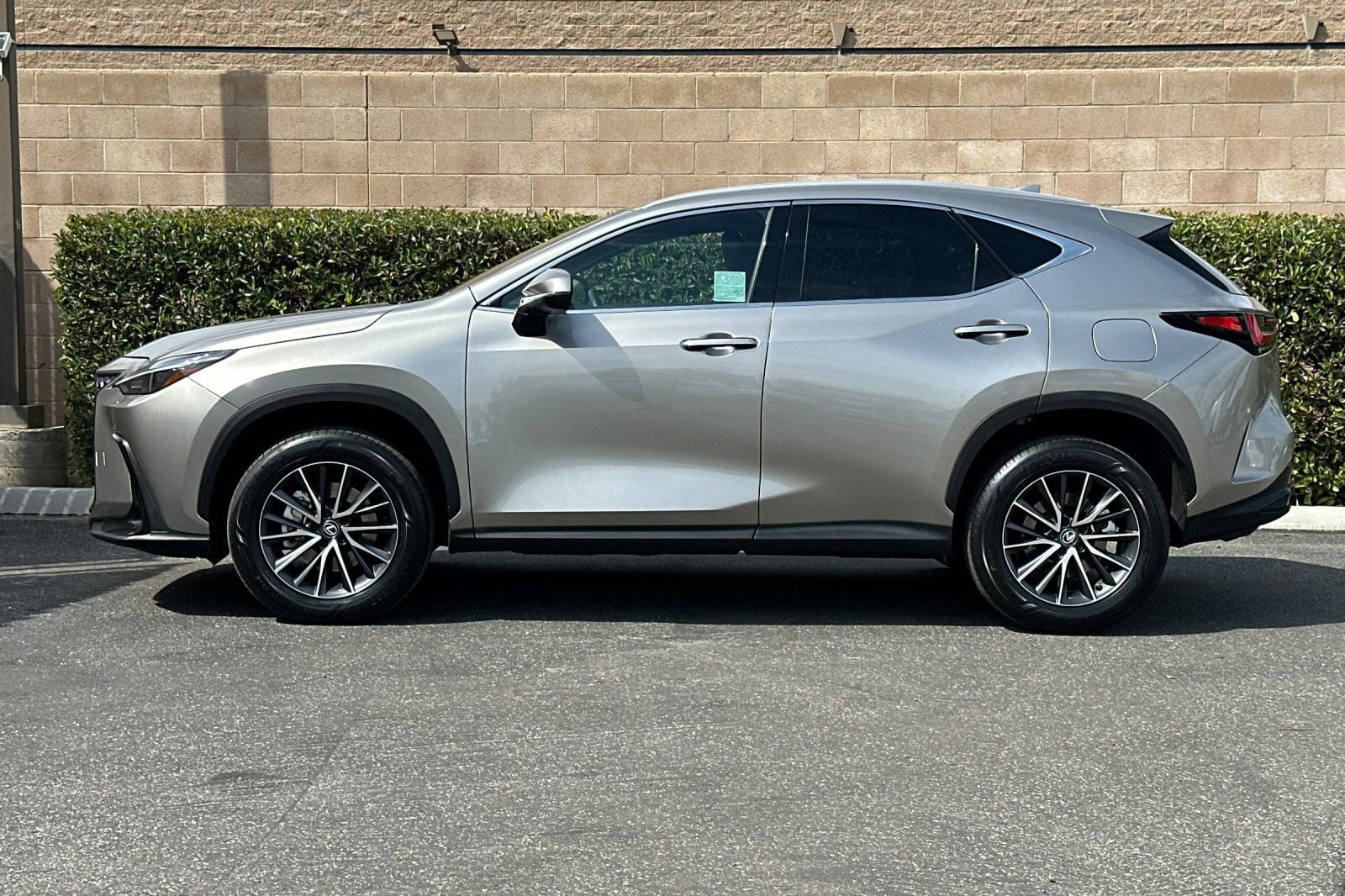 2024 LEXUS NX NX 250 photo 6