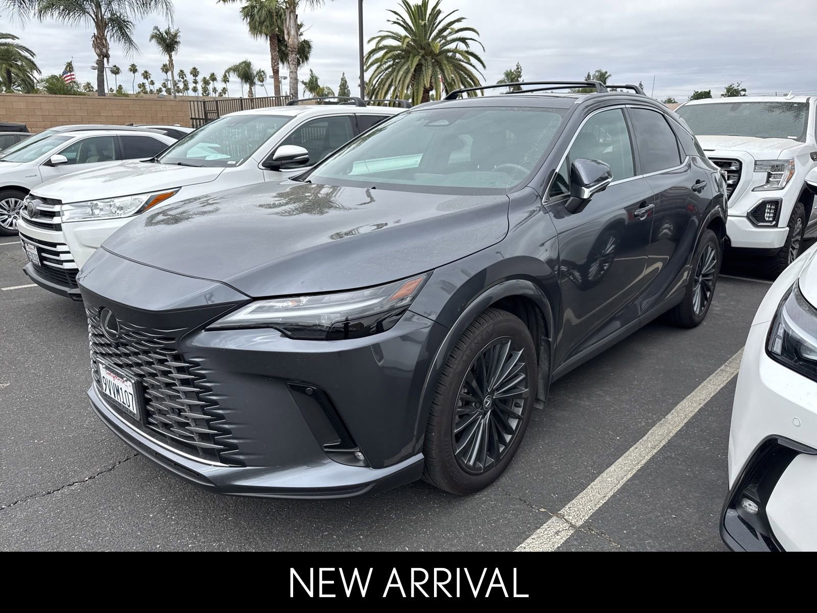 2025 Lexus RX 350h 350h Premium AWD's photo