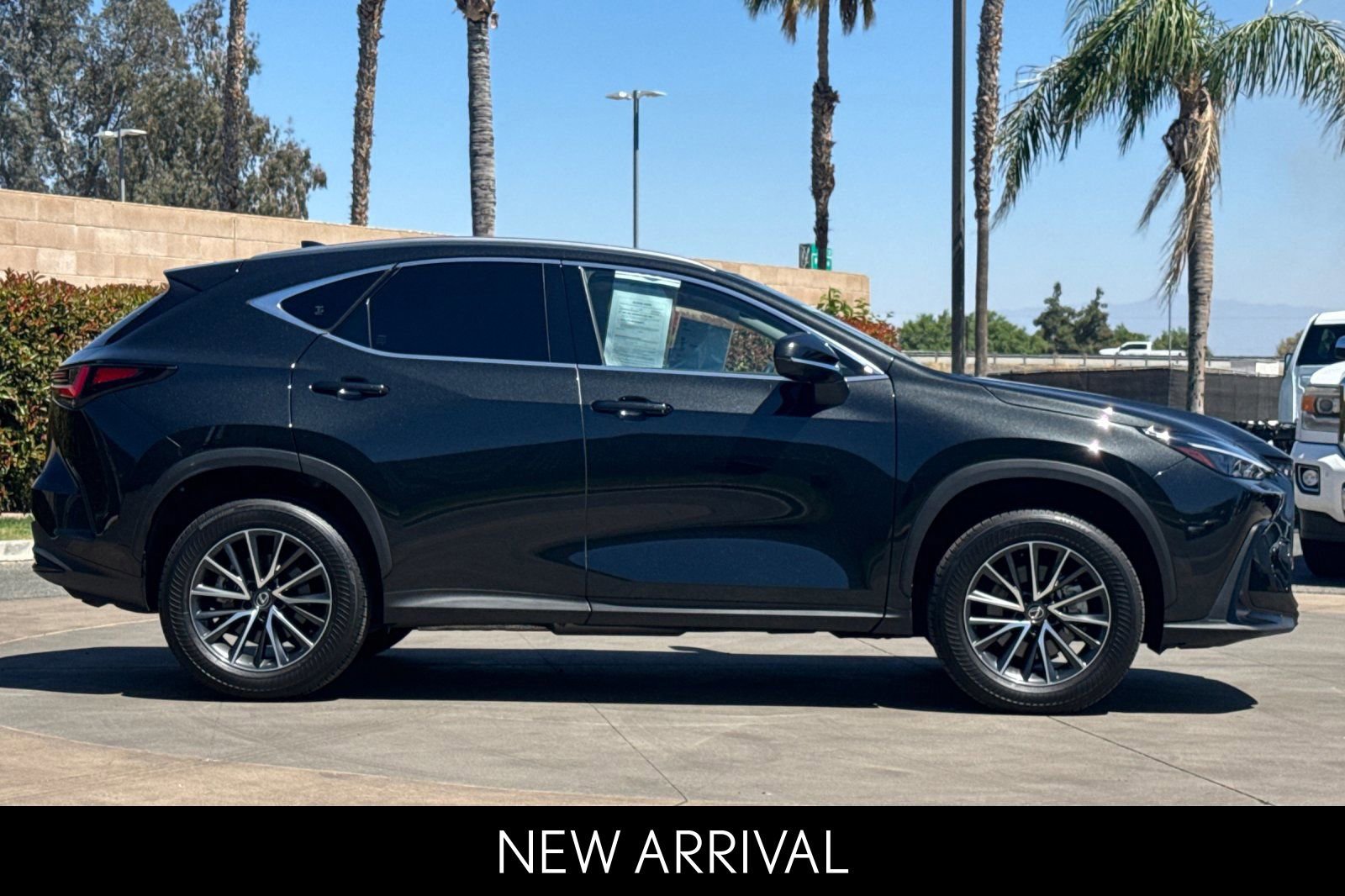 2025 LEXUS NX NX 350h Premium photo 2