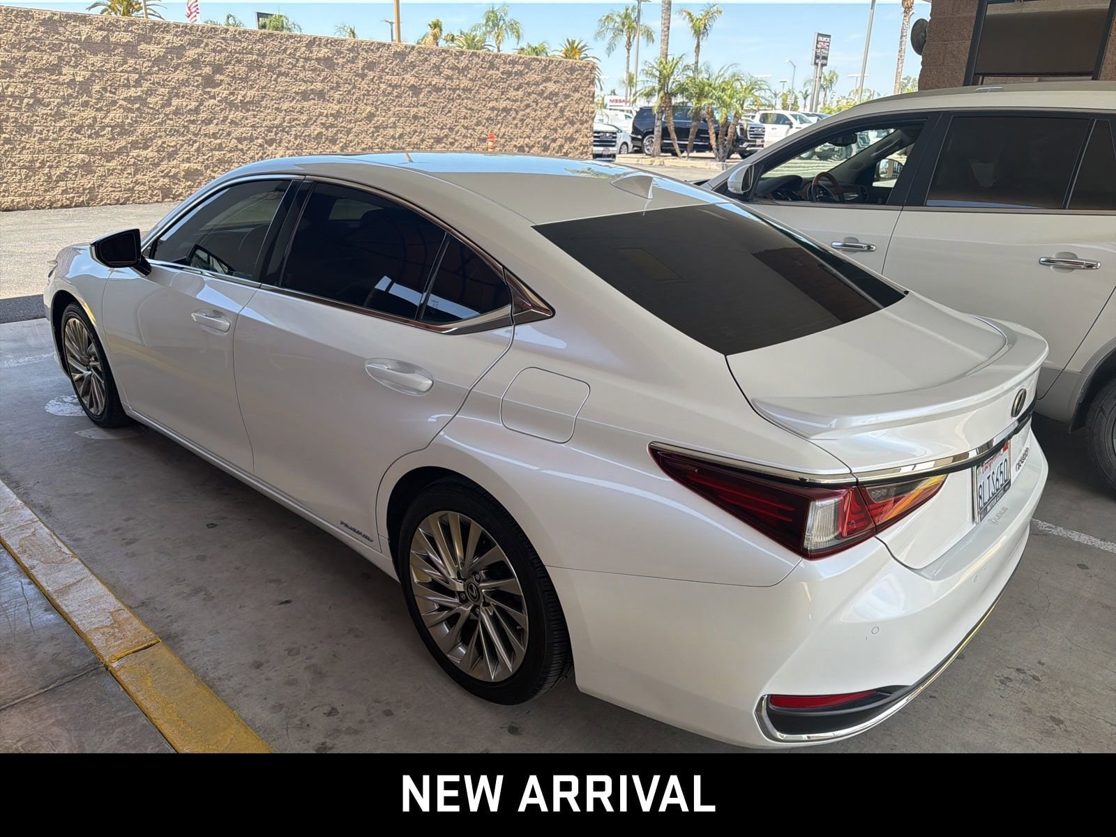 2019 LEXUS ES ES 300h photo 6