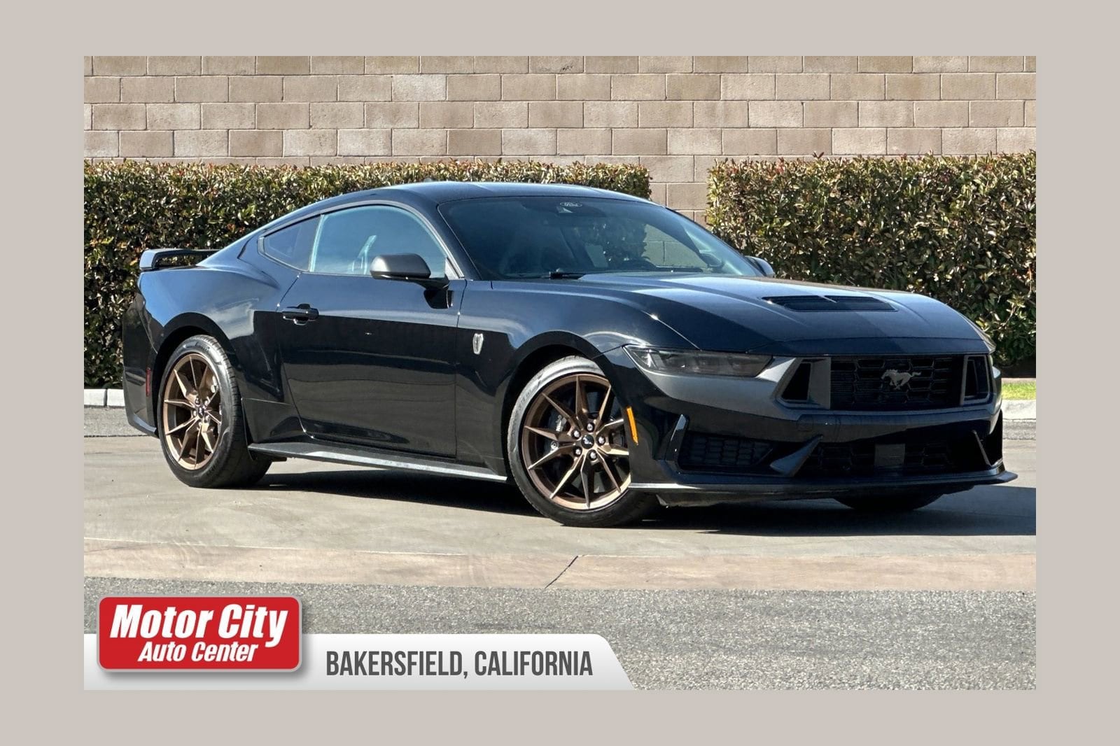 2025 Ford Mustang Dark Horse's photo