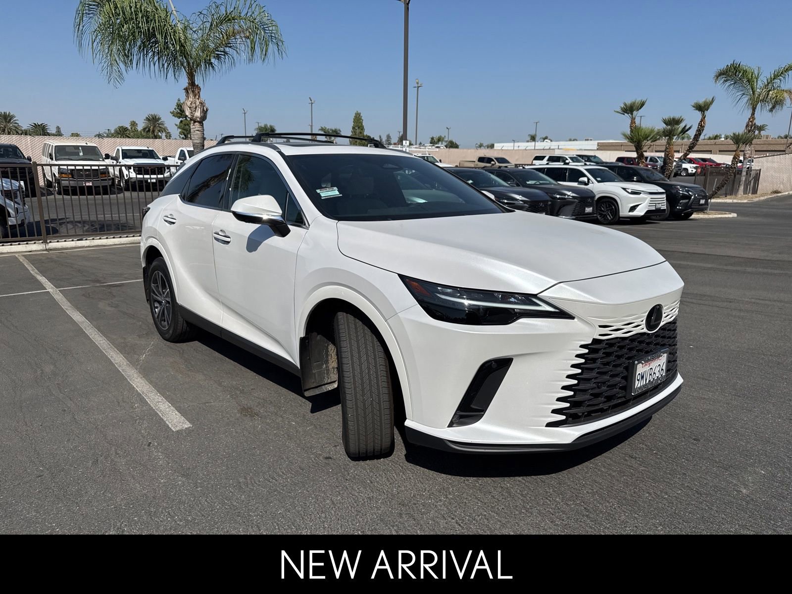 2024 Lexus RX 350h Premium photo 2