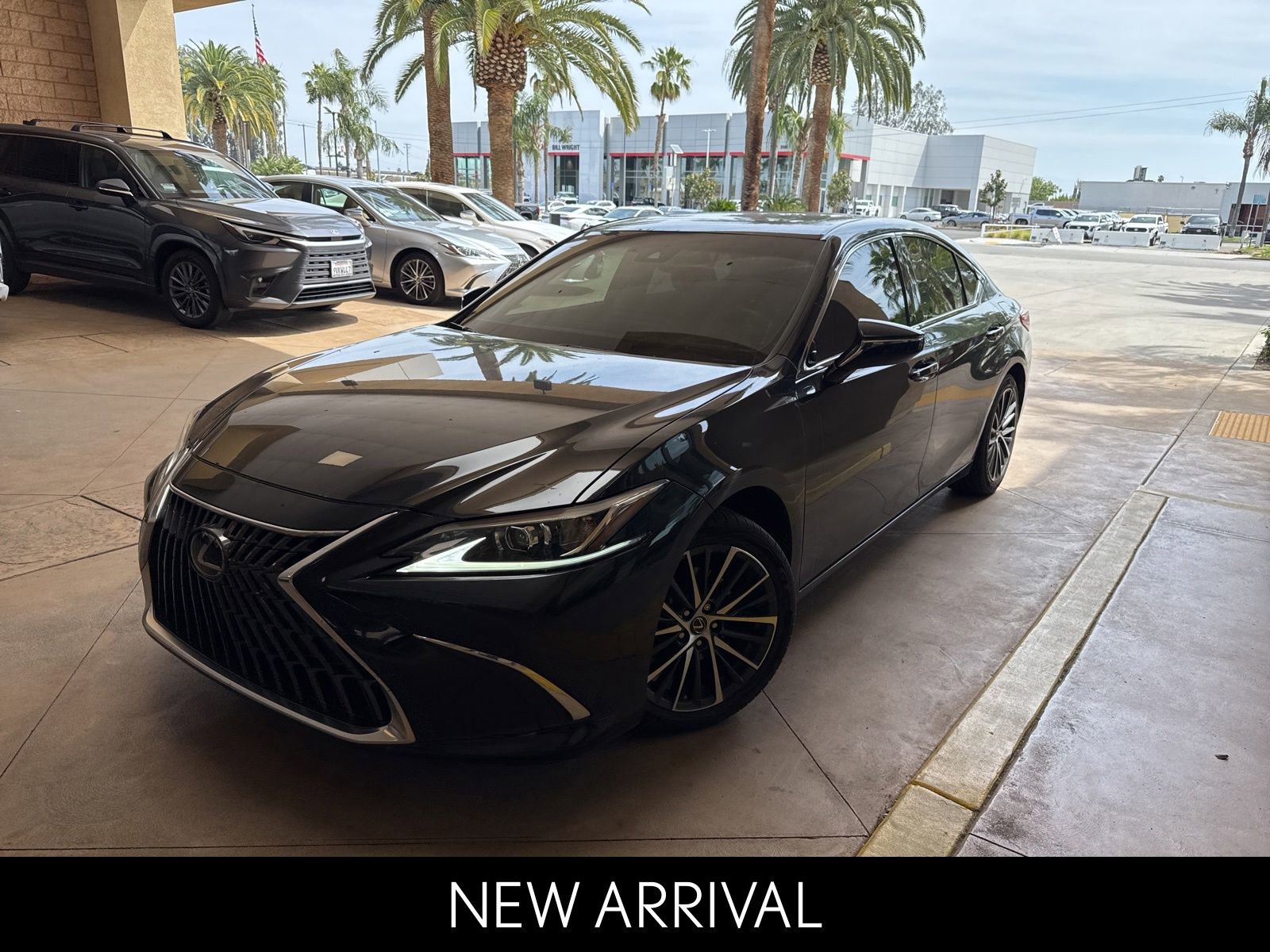 2024 Lexus ES 350 350's photo