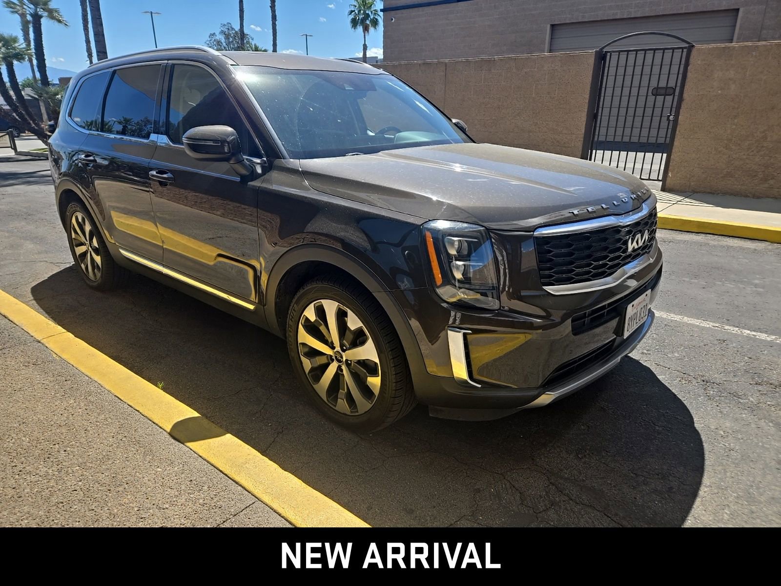 2022 Kia Telluride EX photo 3