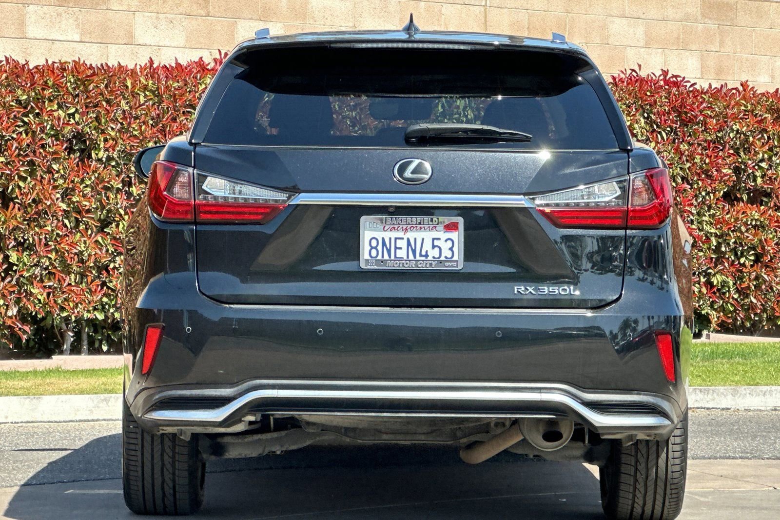 2020 LEXUS RX RX 350L photo 4