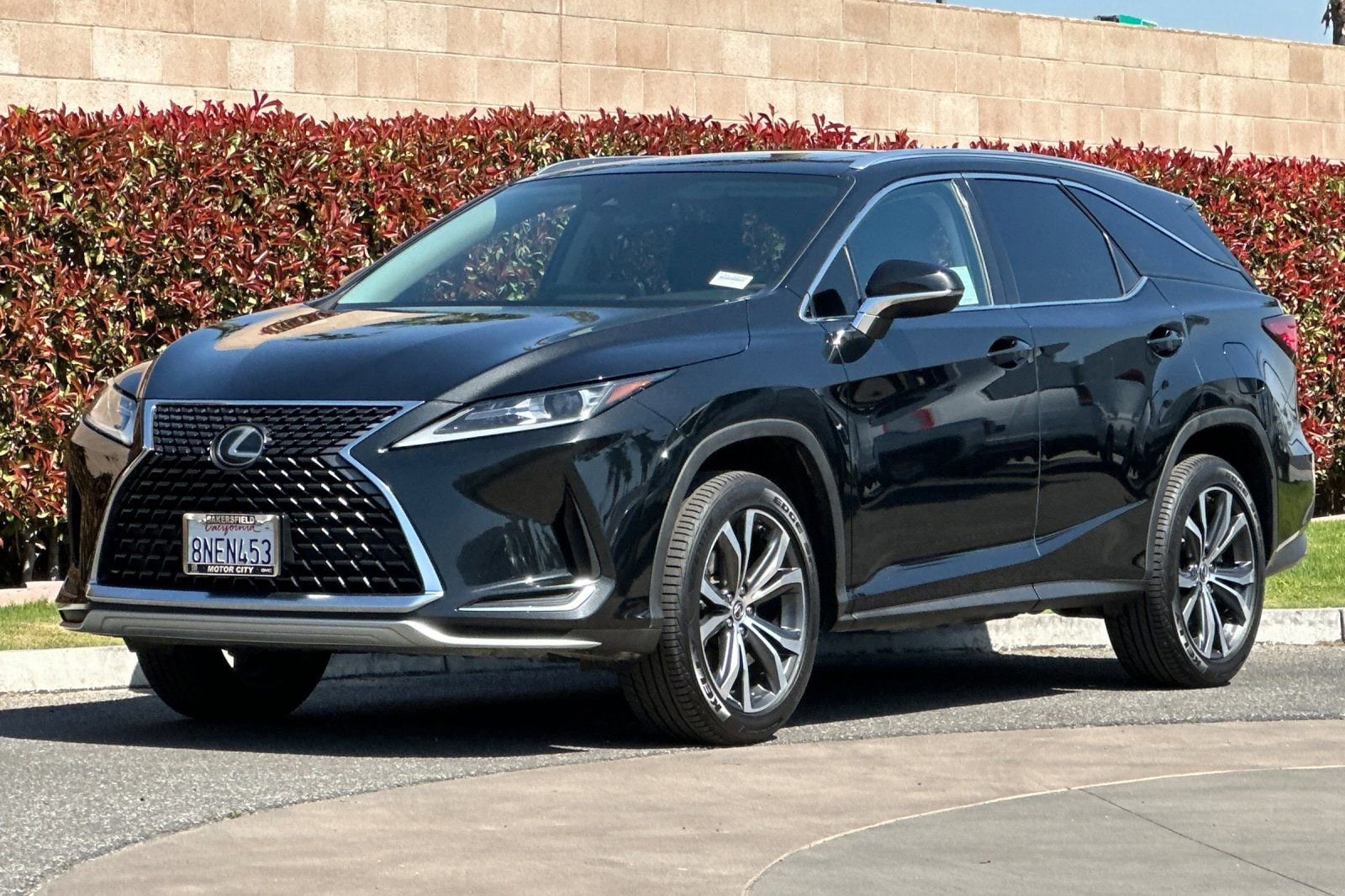 2020 LEXUS RX RX 350L photo 3