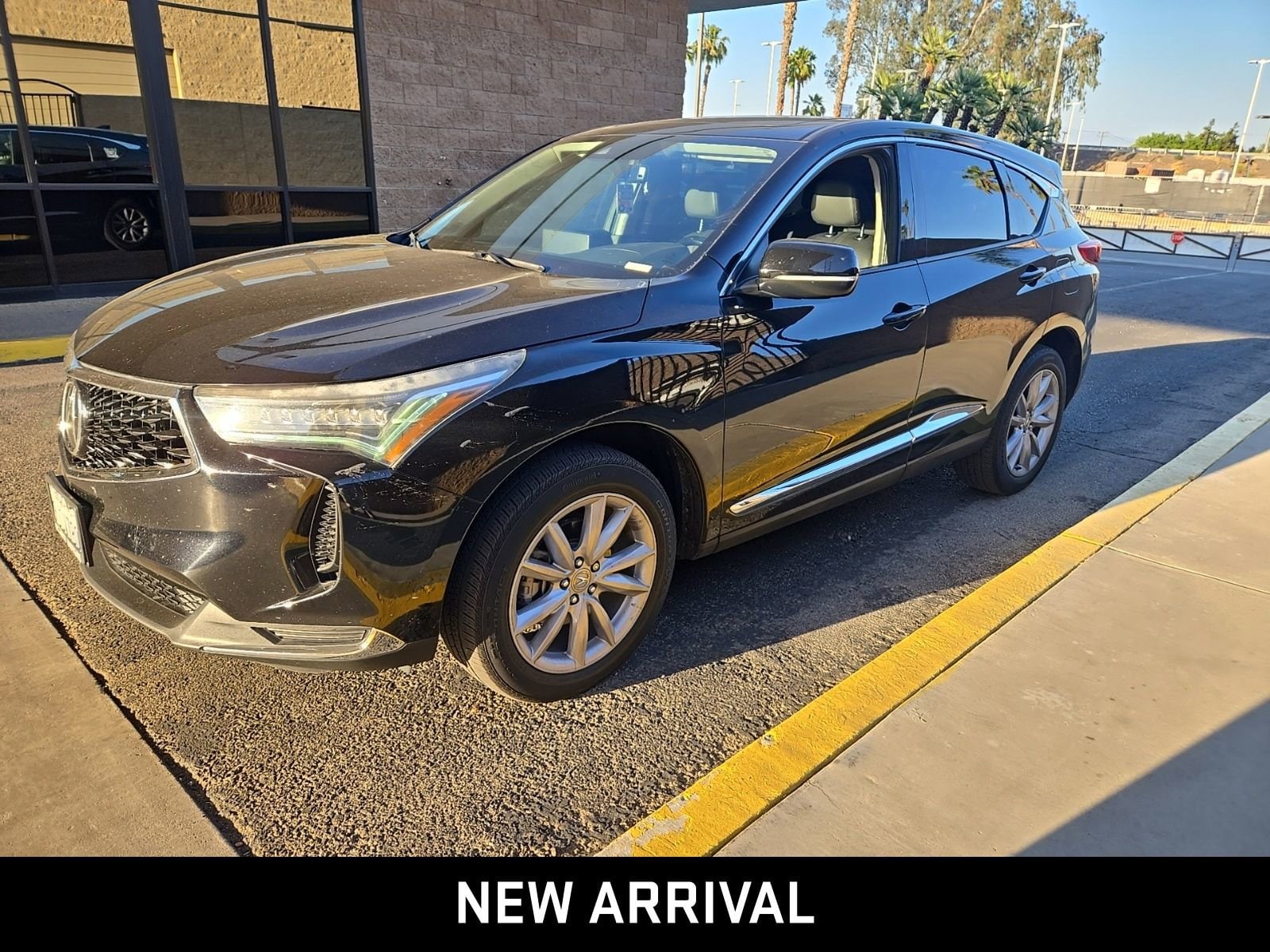 2023 Acura RDX SH-AWD's photo