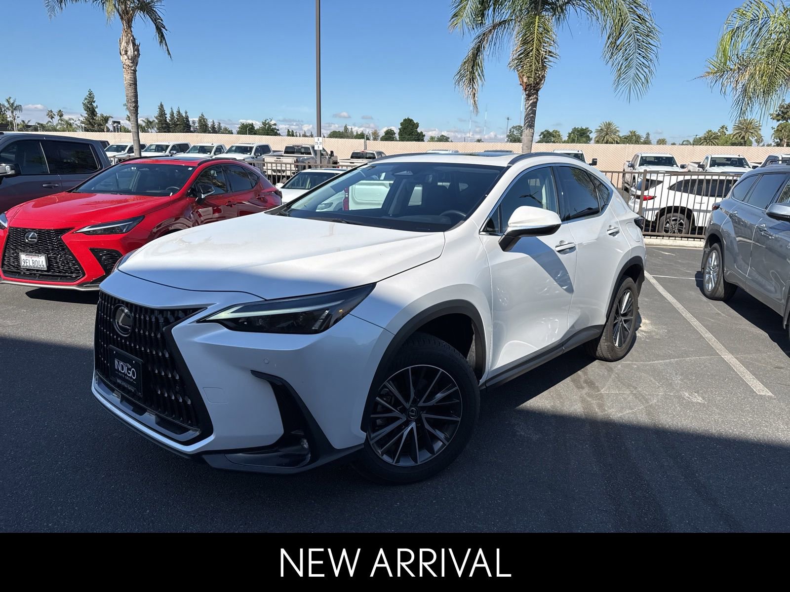2024 LEXUS NX NX 350h Premium photo 2