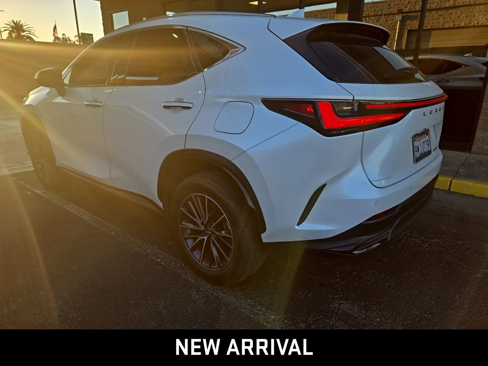 2025 LEXUS NX NX 250 photo 5
