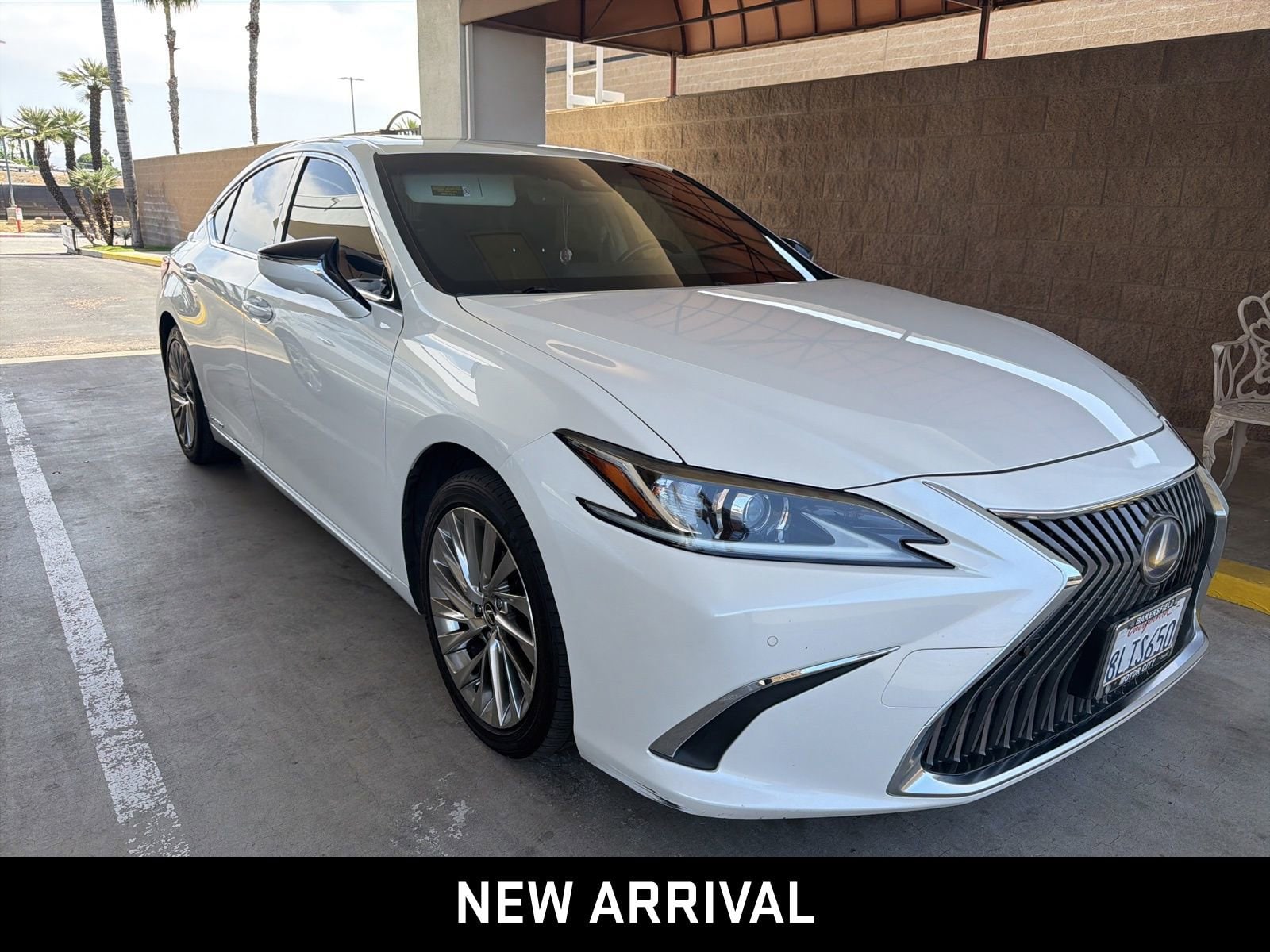 2019 LEXUS ES ES 300h photo 3