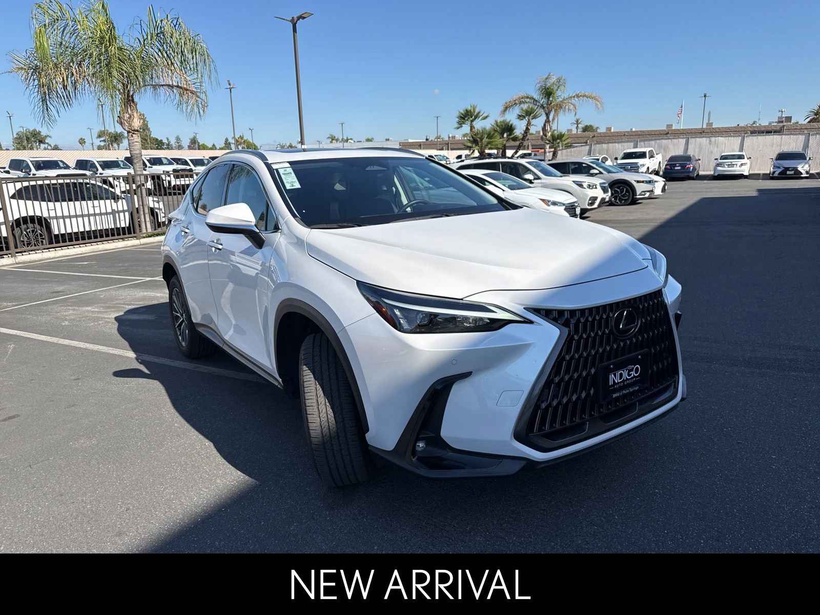 2024 LEXUS NX NX 350h Premium photo 3