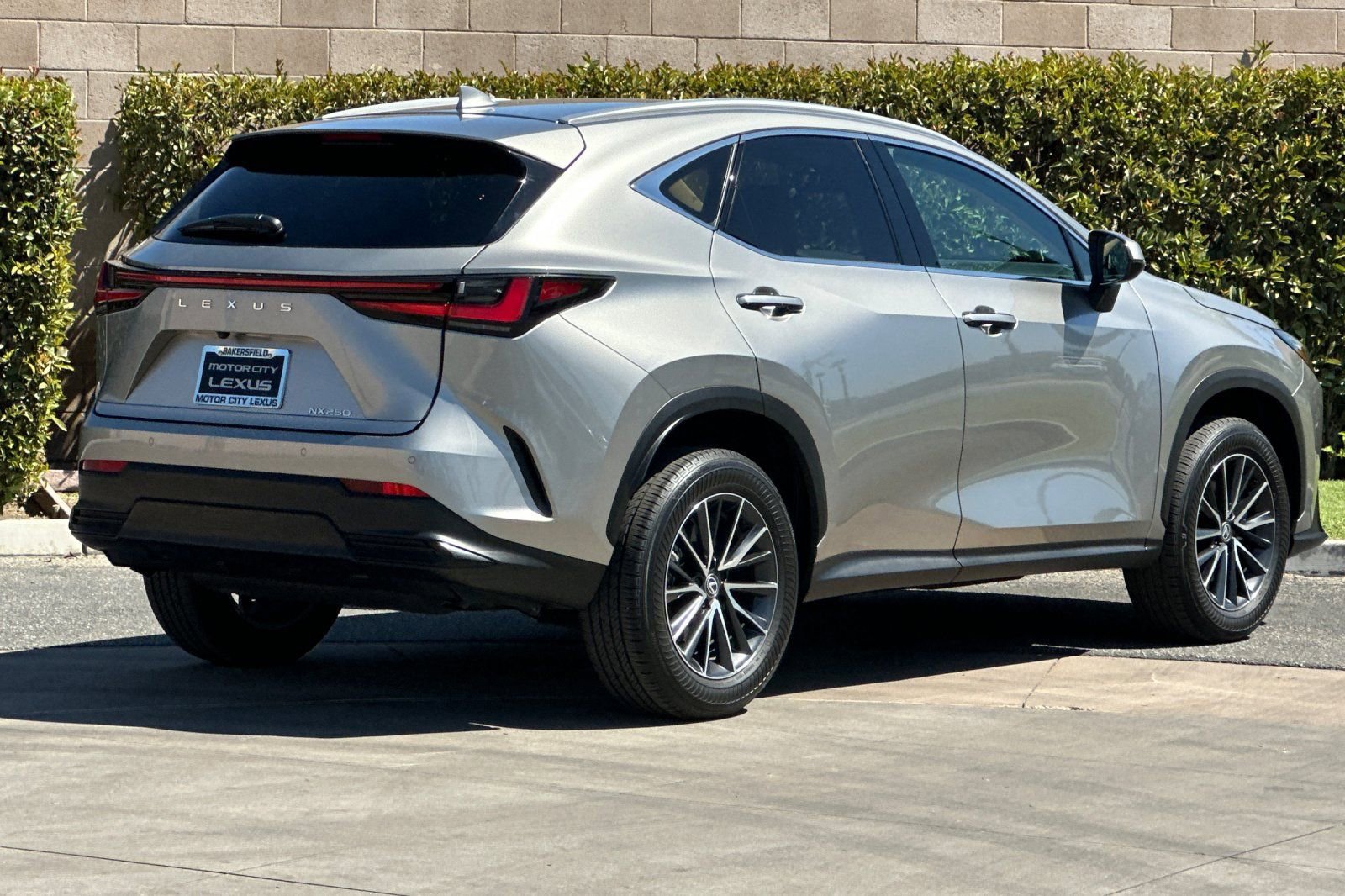 2025 Lexus NX 250 photo 3