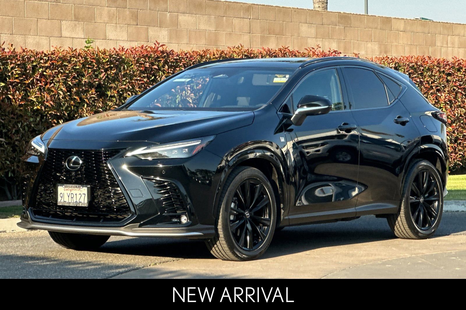 2024 LEXUS NX NX 450h+ F Sport Handling photo 3