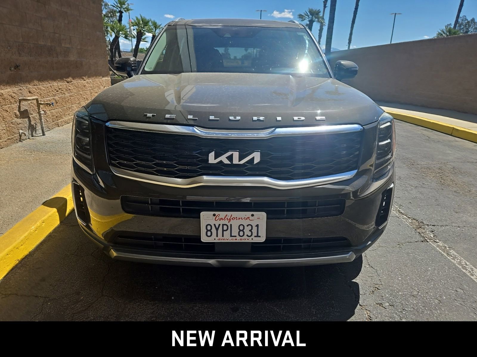 2022 Kia Telluride EX photo 2