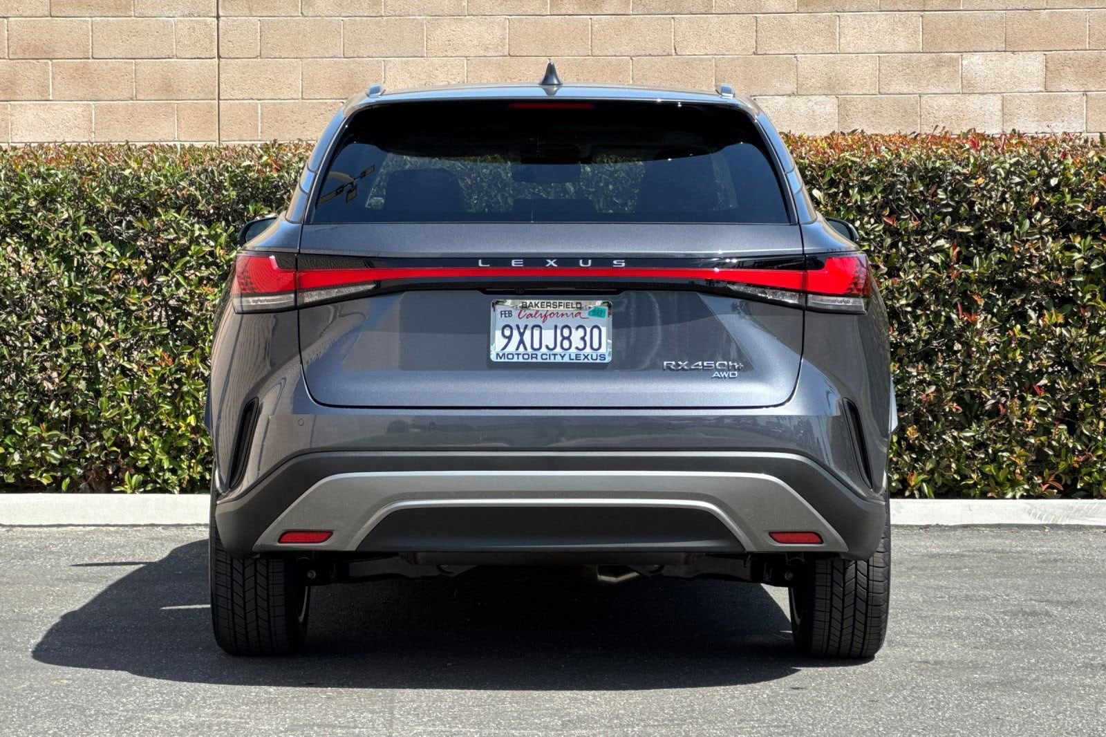 2026 LEXUS RX RX 450h+ Luxury photo 4