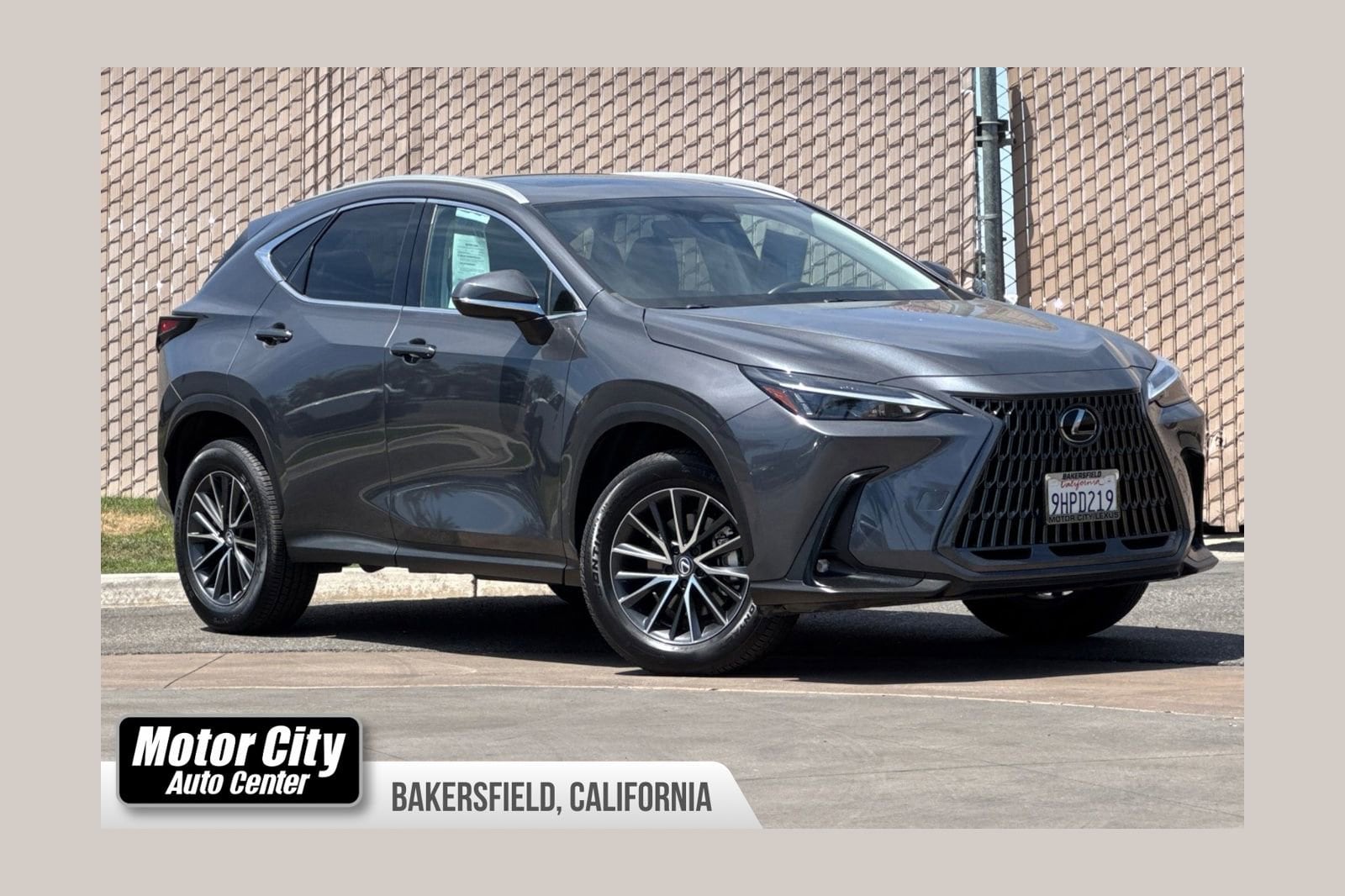 2024 Lexus NX 350h 350h AWD's photo