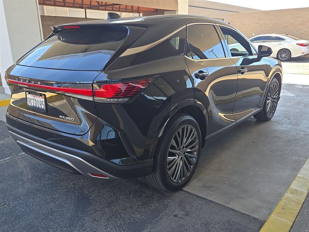 2024 Lexus RX 350 Luxury photo 3
