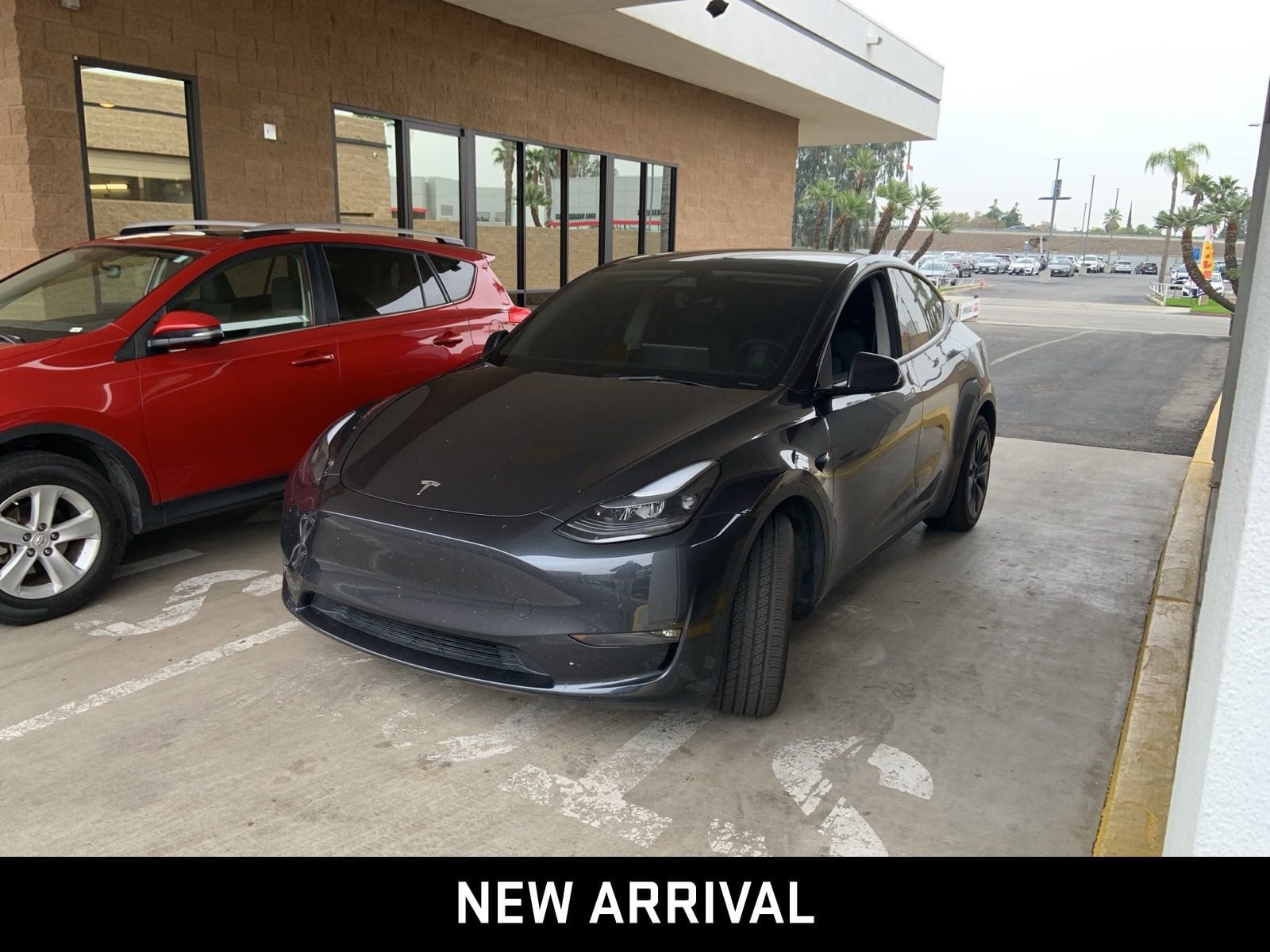2025 Tesla Model Y Long Range's photo