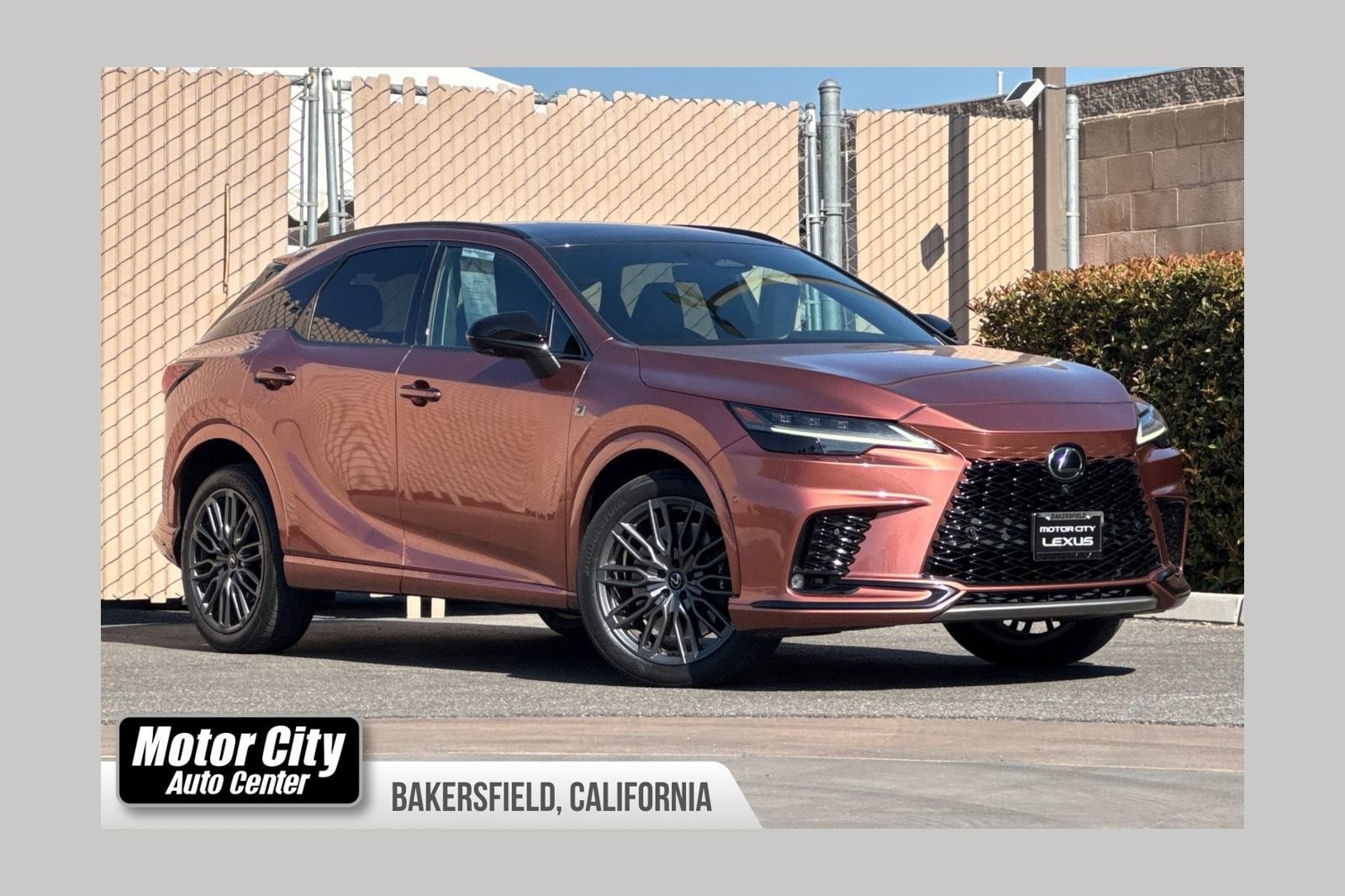 2023 Lexus RX 350h 500h F SPORT AWD's photo